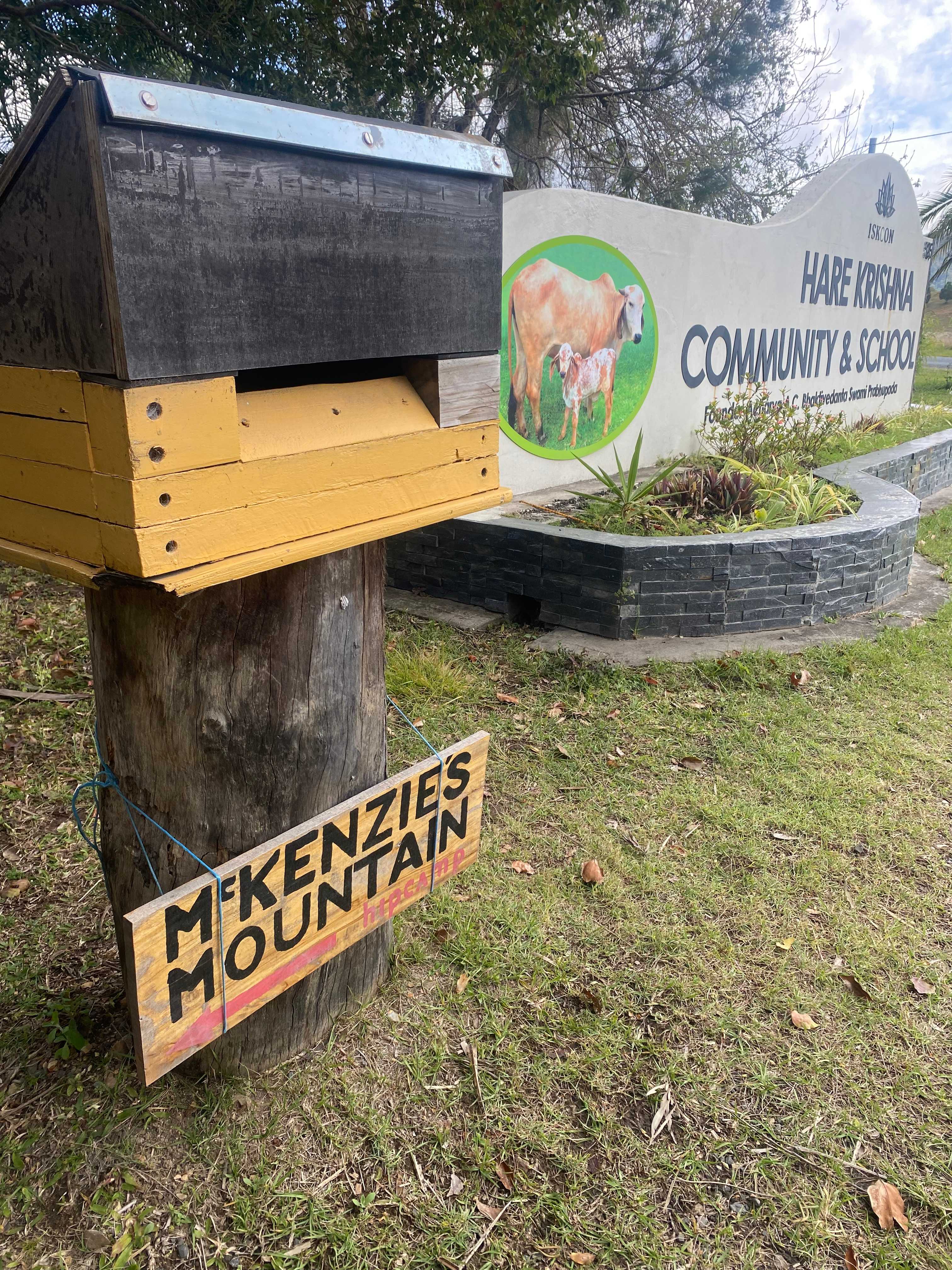 McKenzies Mountain, Wollumbin