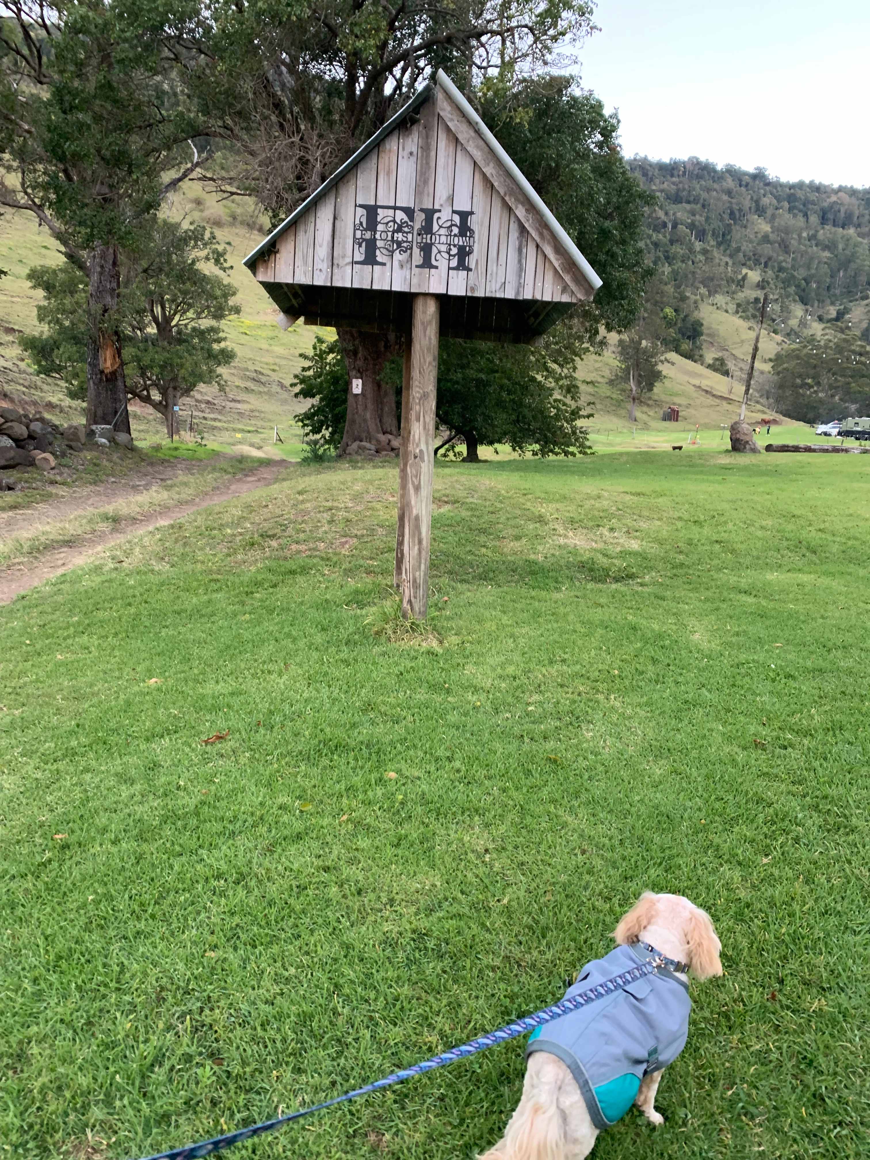 Frog’s Hollow Scenic Rim
