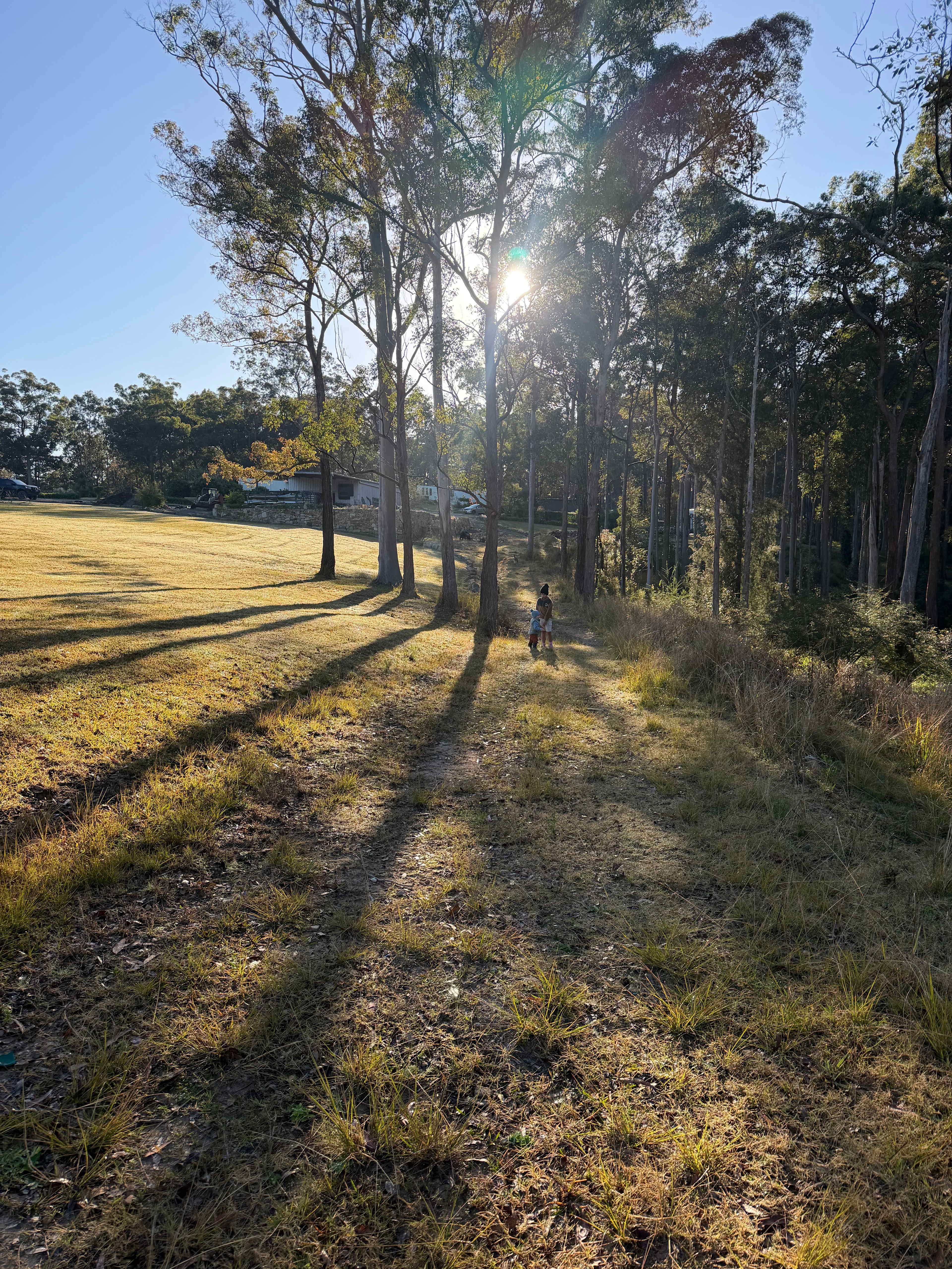Wallaby Haven