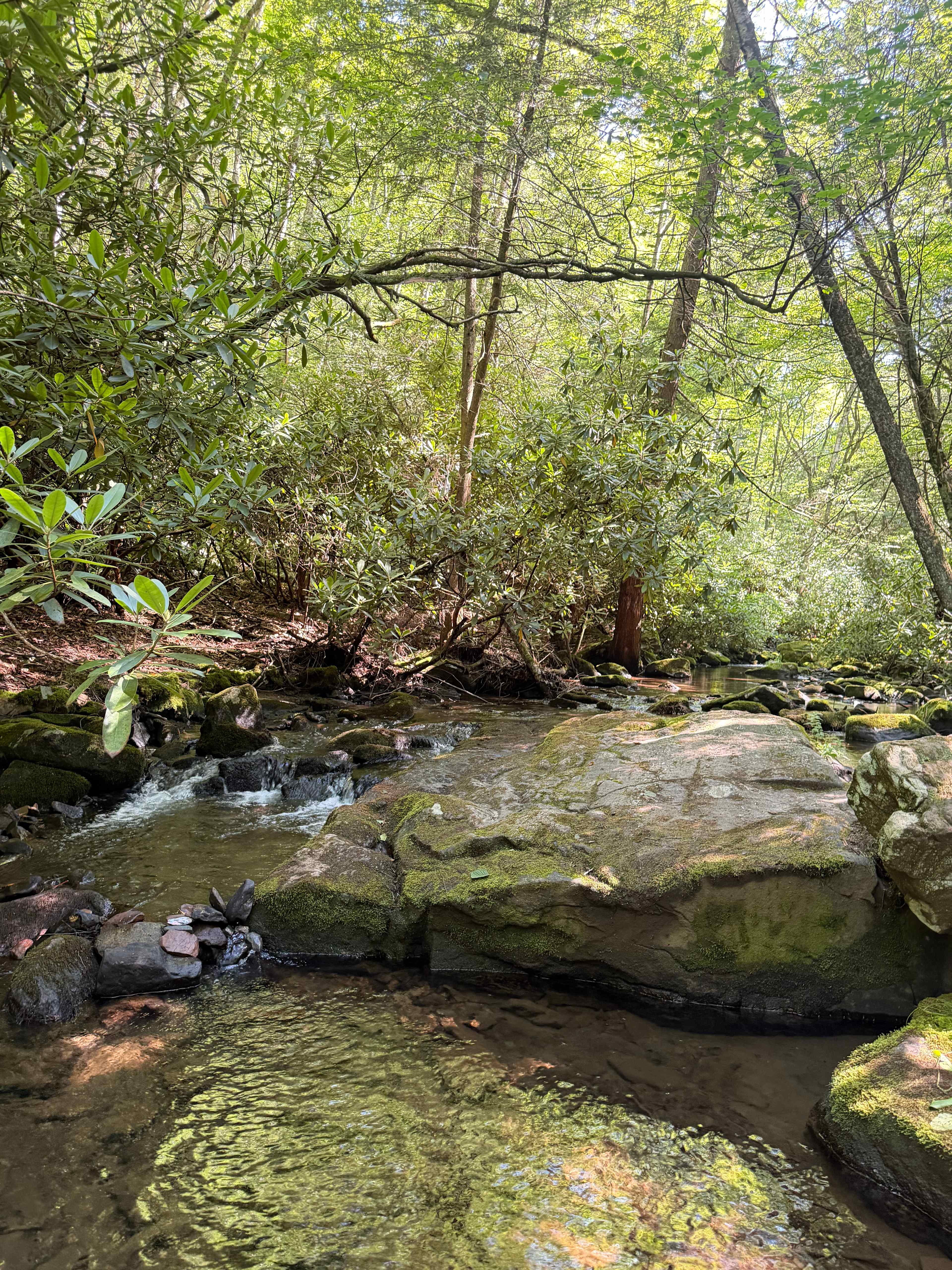 Camp Dietrich on Bear Creek