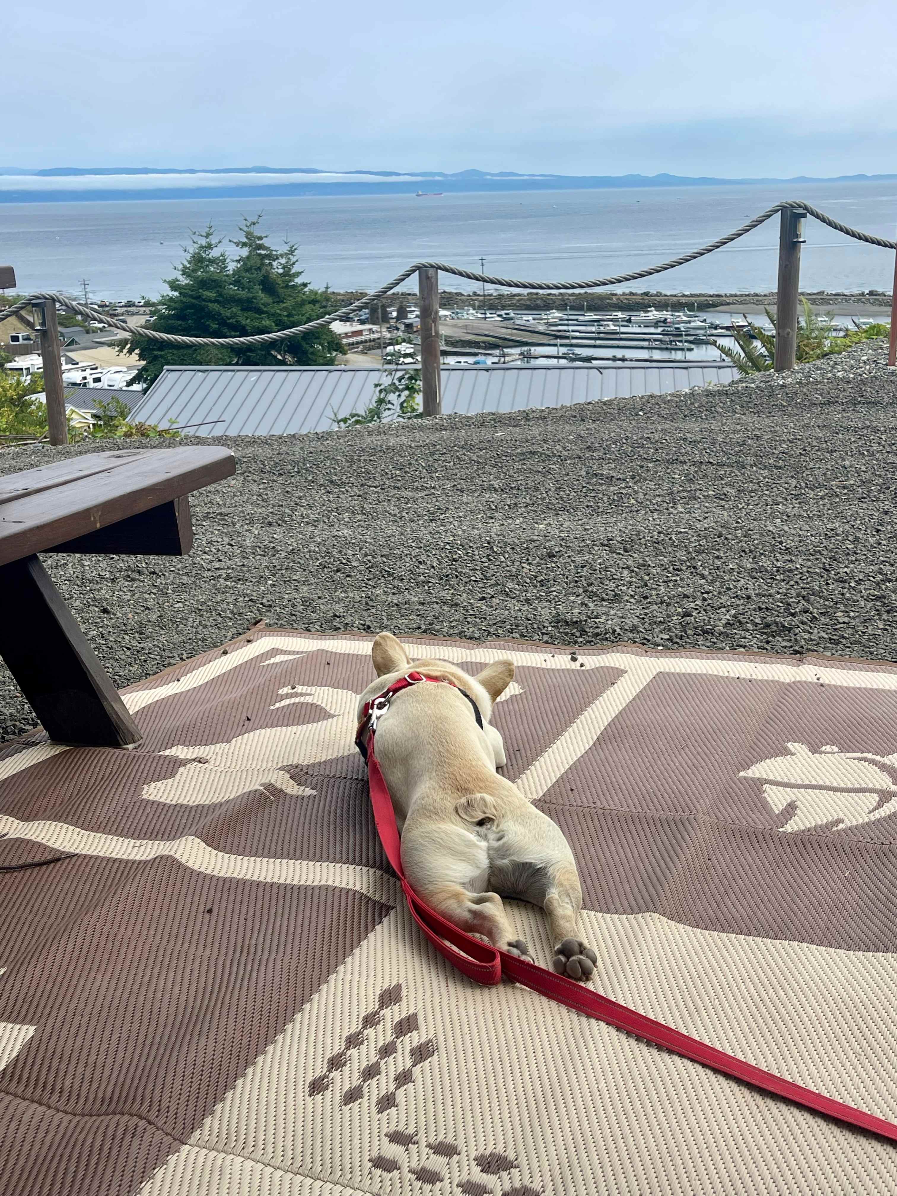Relaxing 