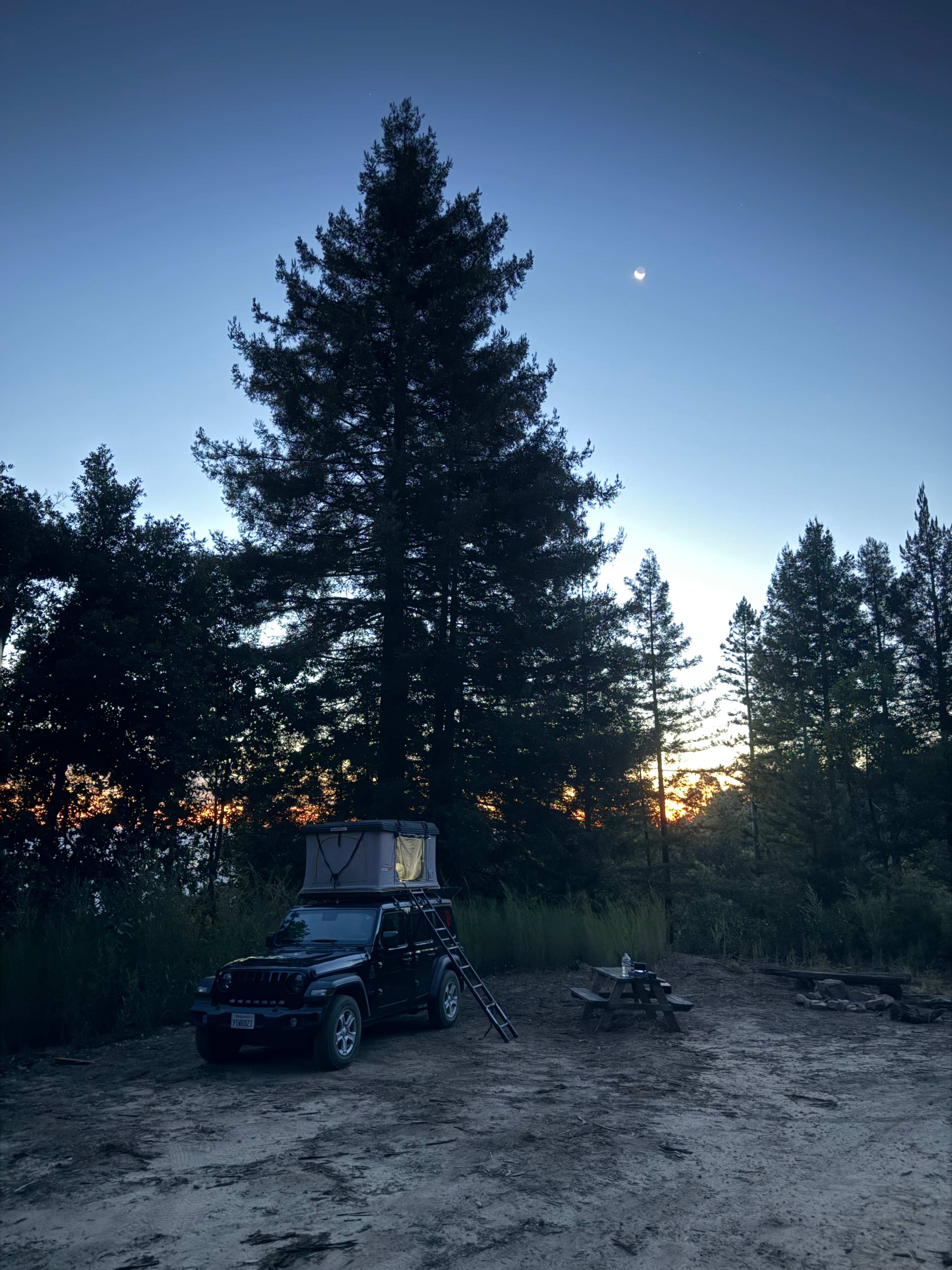 Camp Rewilding