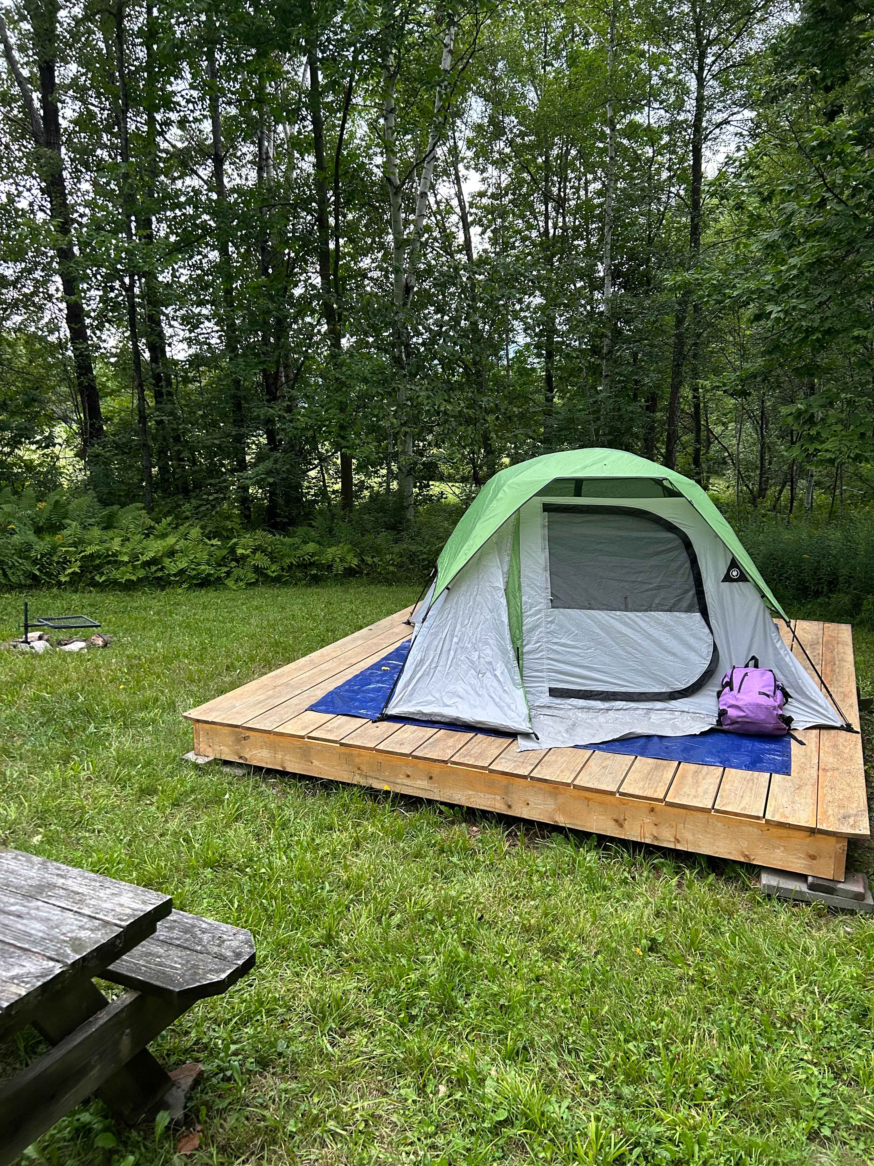Four Springs Farm, Campground & Learning Center