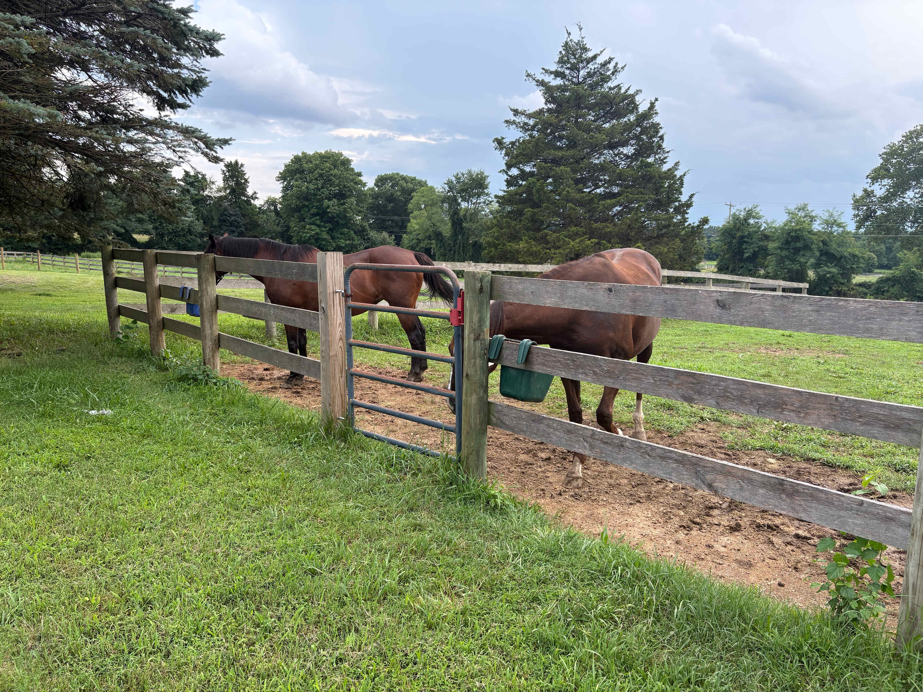 FairHill Horse Farm