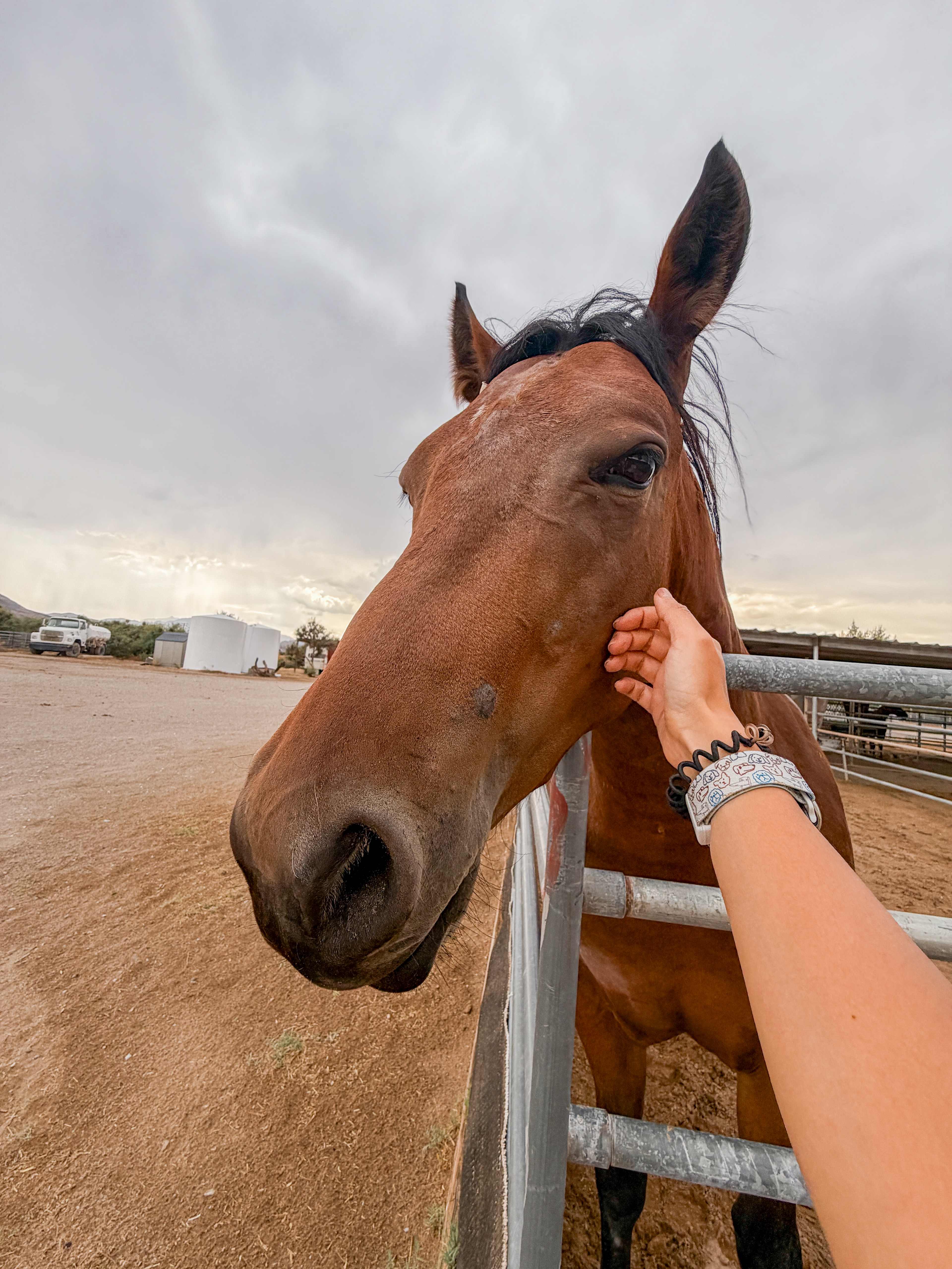 Mojave Desert Ranch