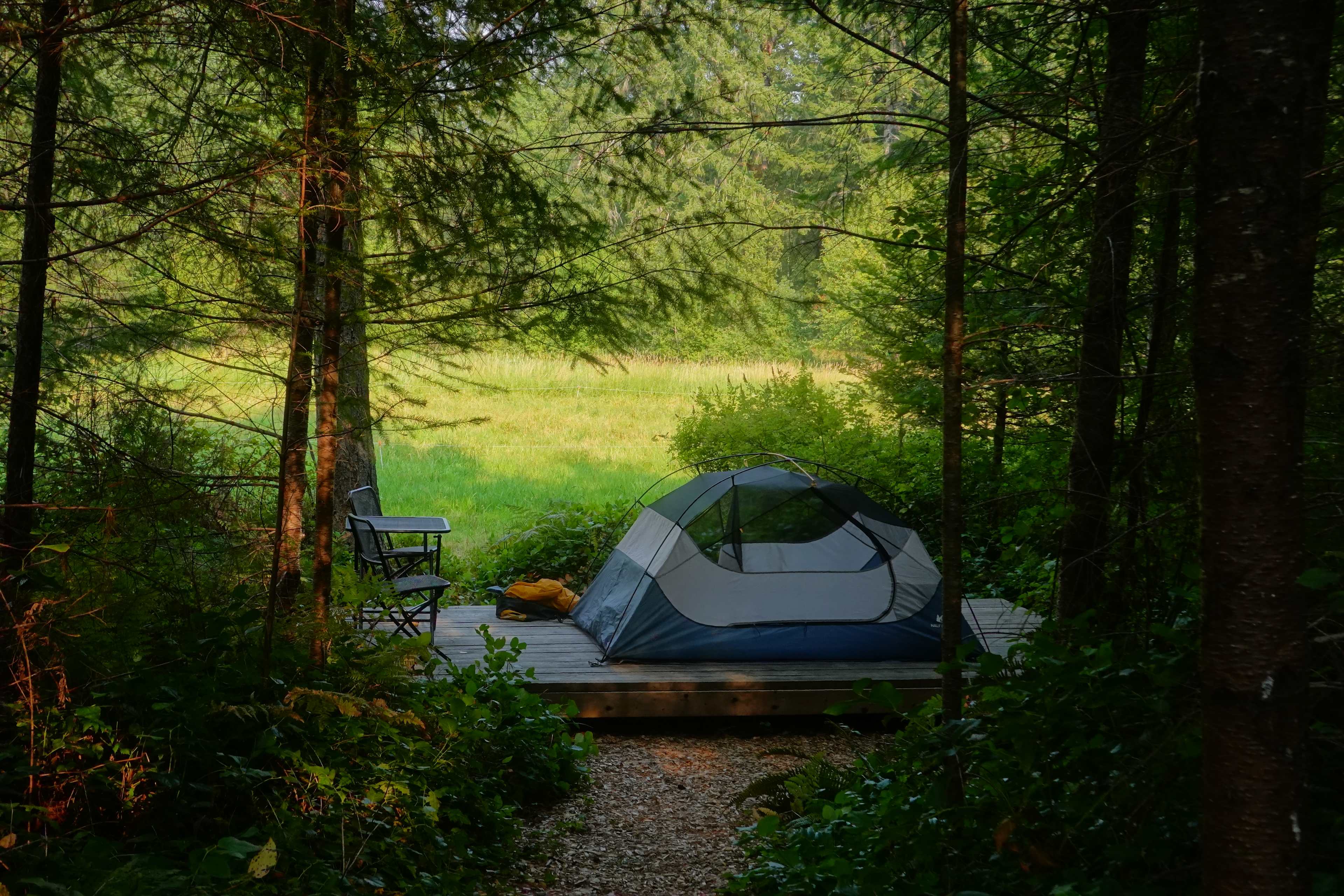 Tyee Valley Farm - Private Forest Sites in the Comox Valley