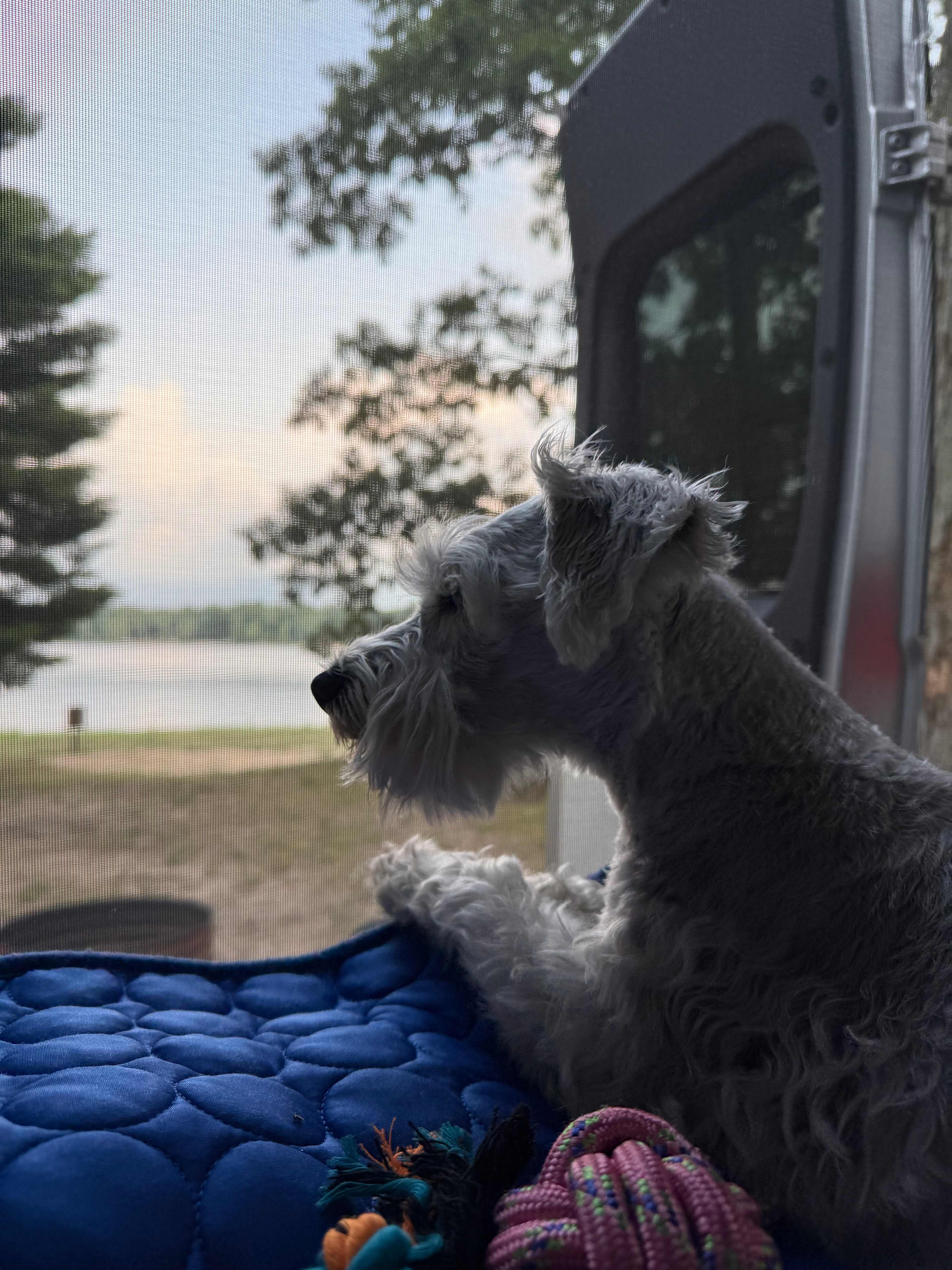 Pickerel Lakeside Campground and Cottages