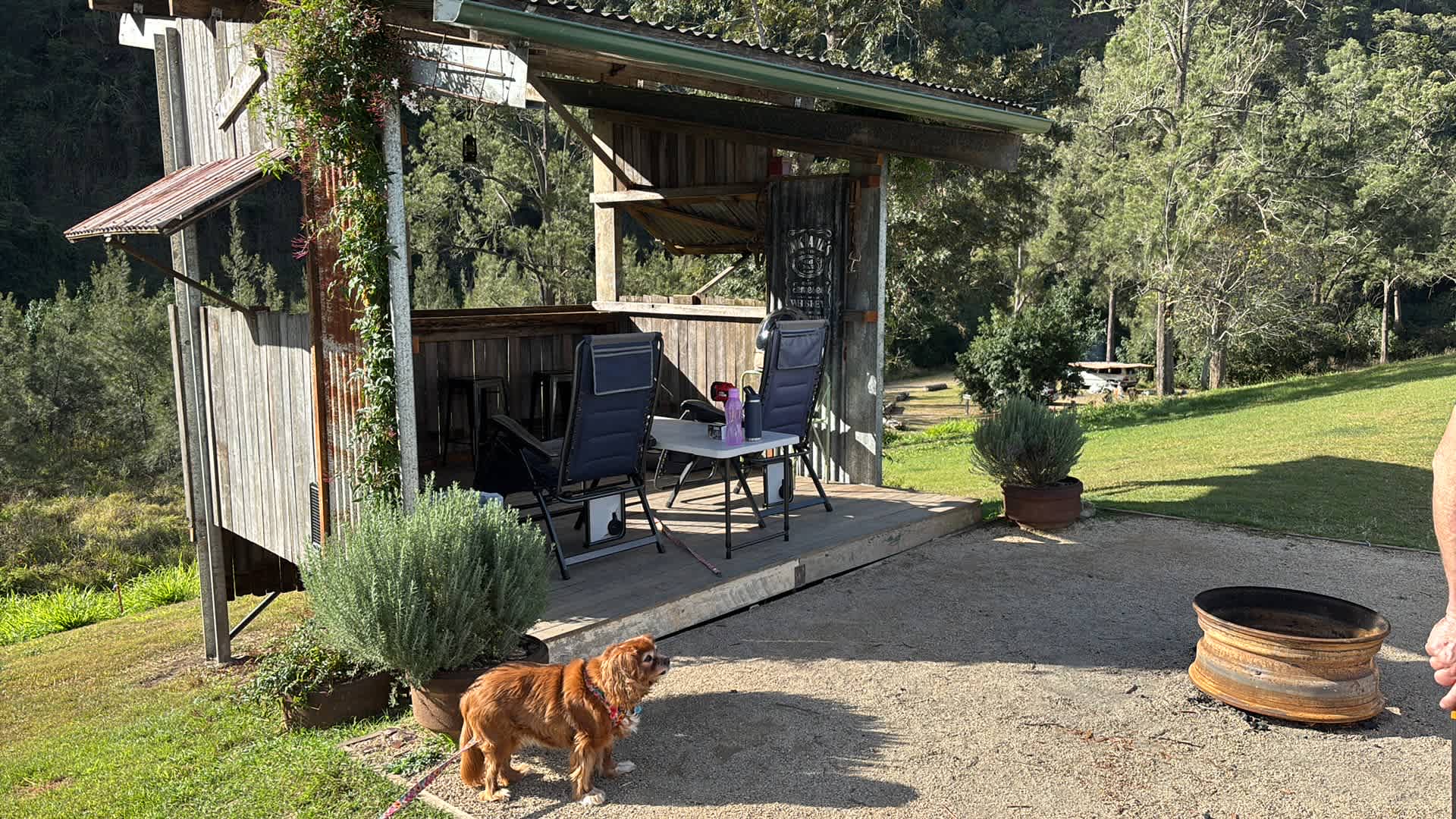 Yabba Creek Farm
