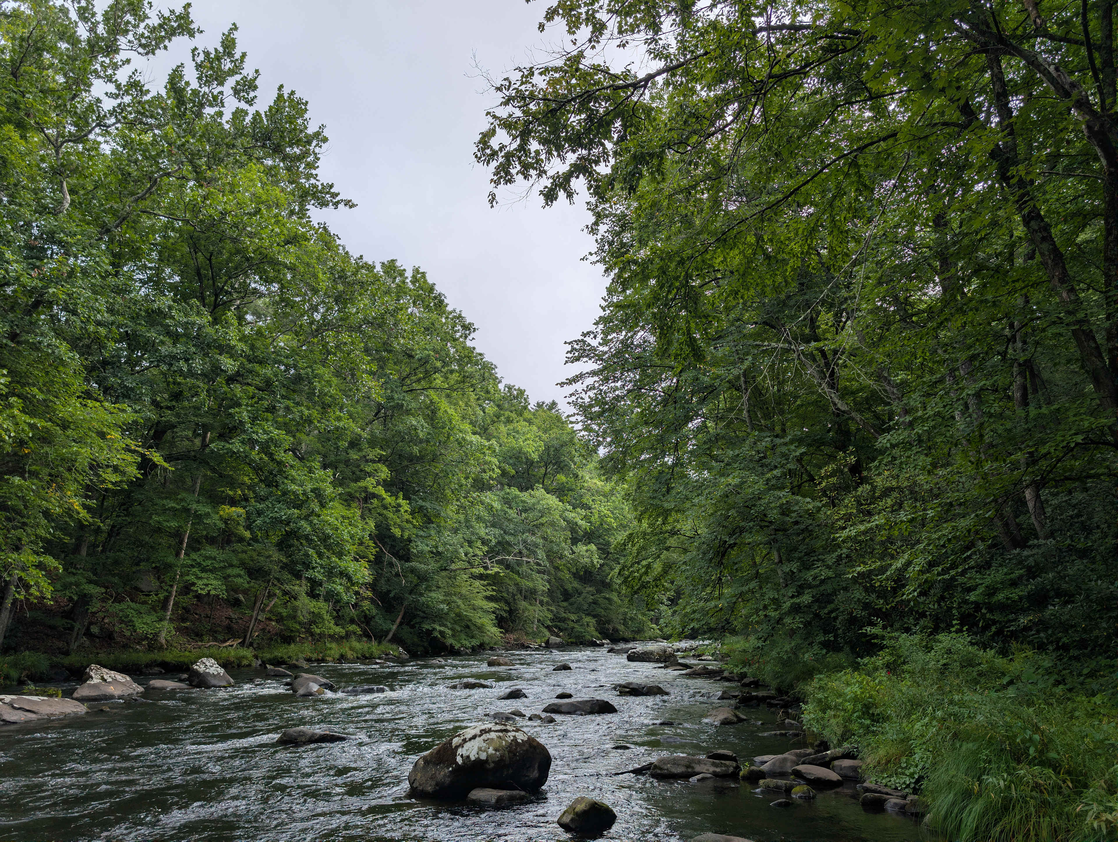 Mongaup River.