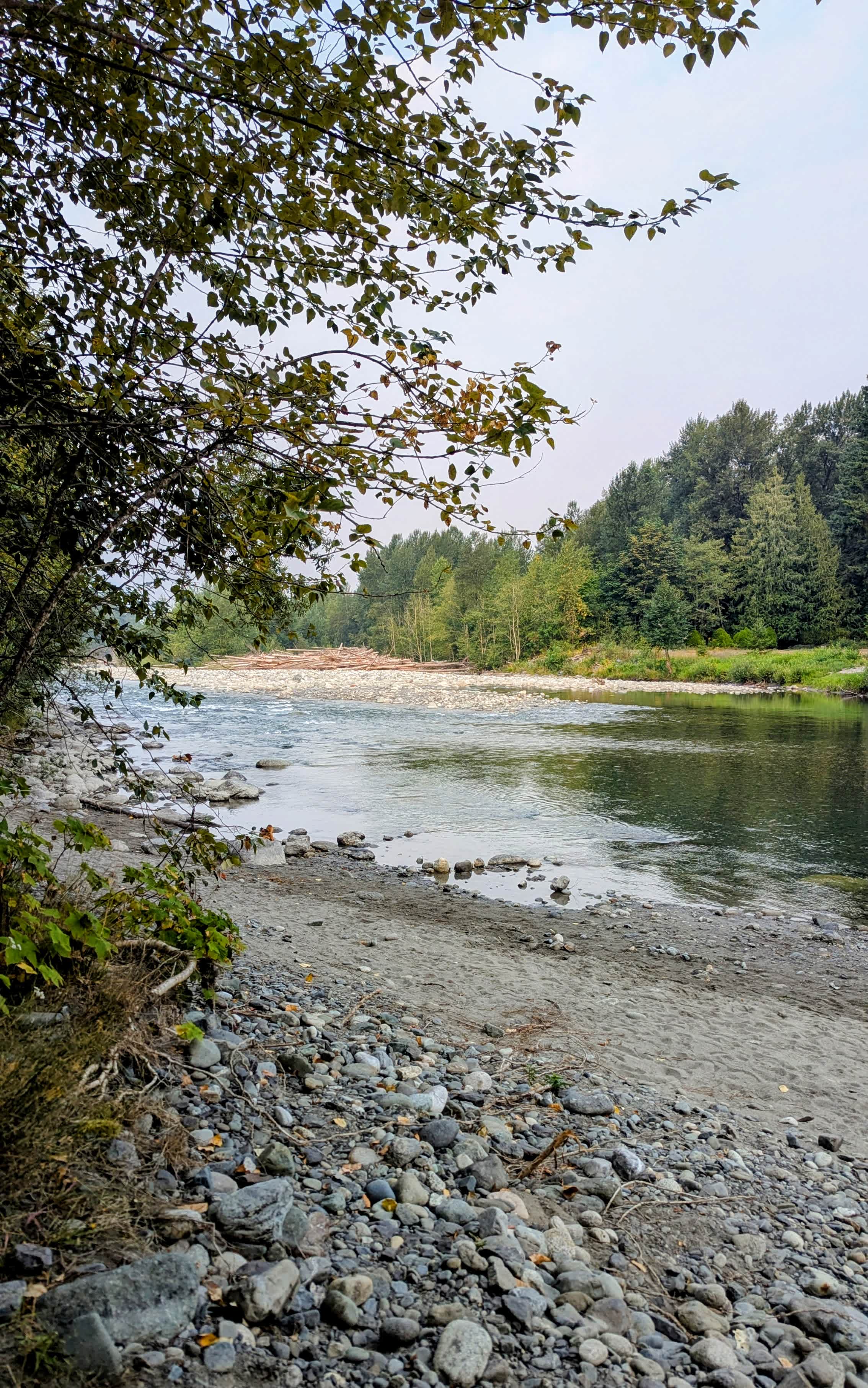 Tamihi Meadows Cabins & RV Park