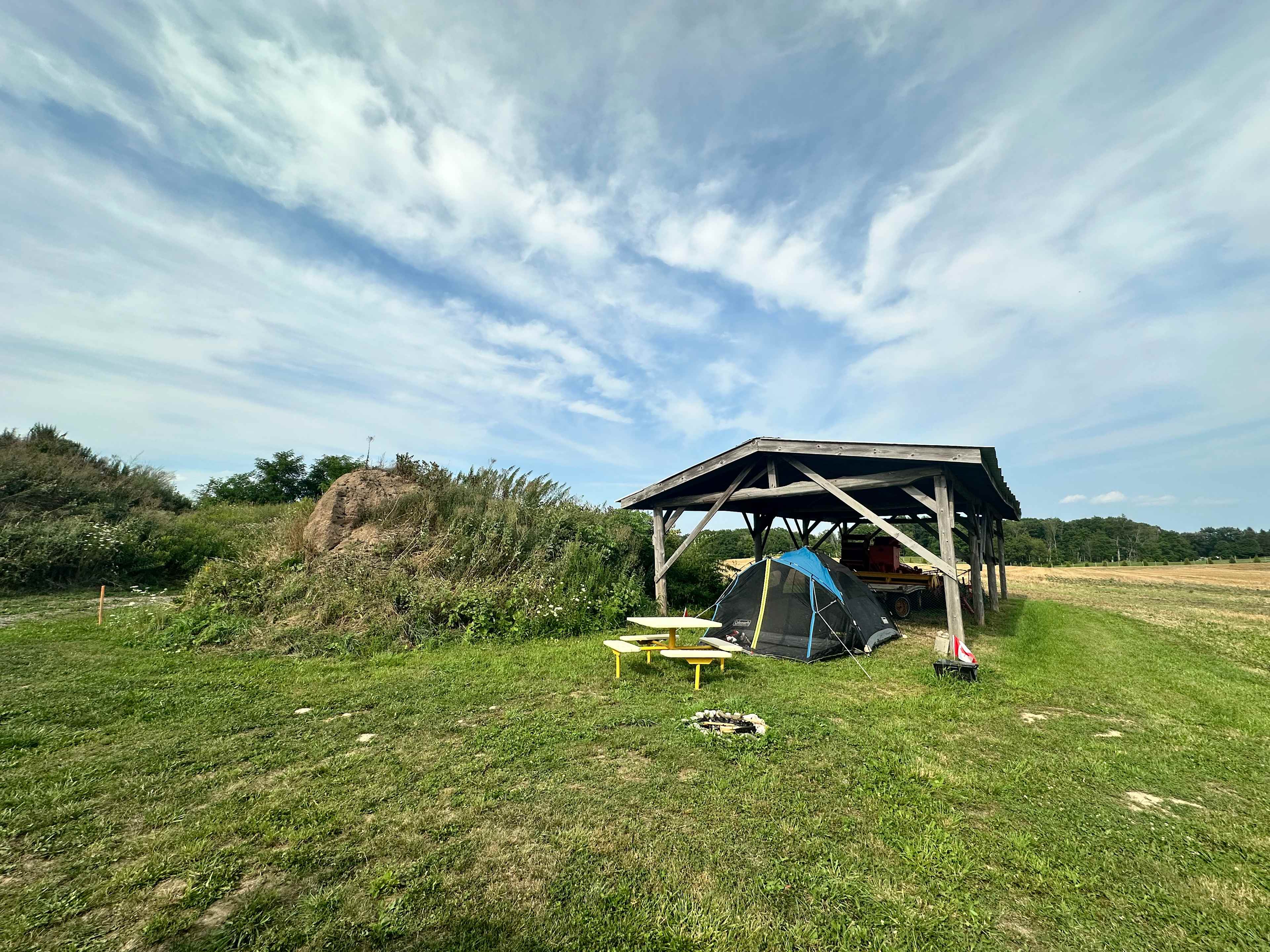 The Farm