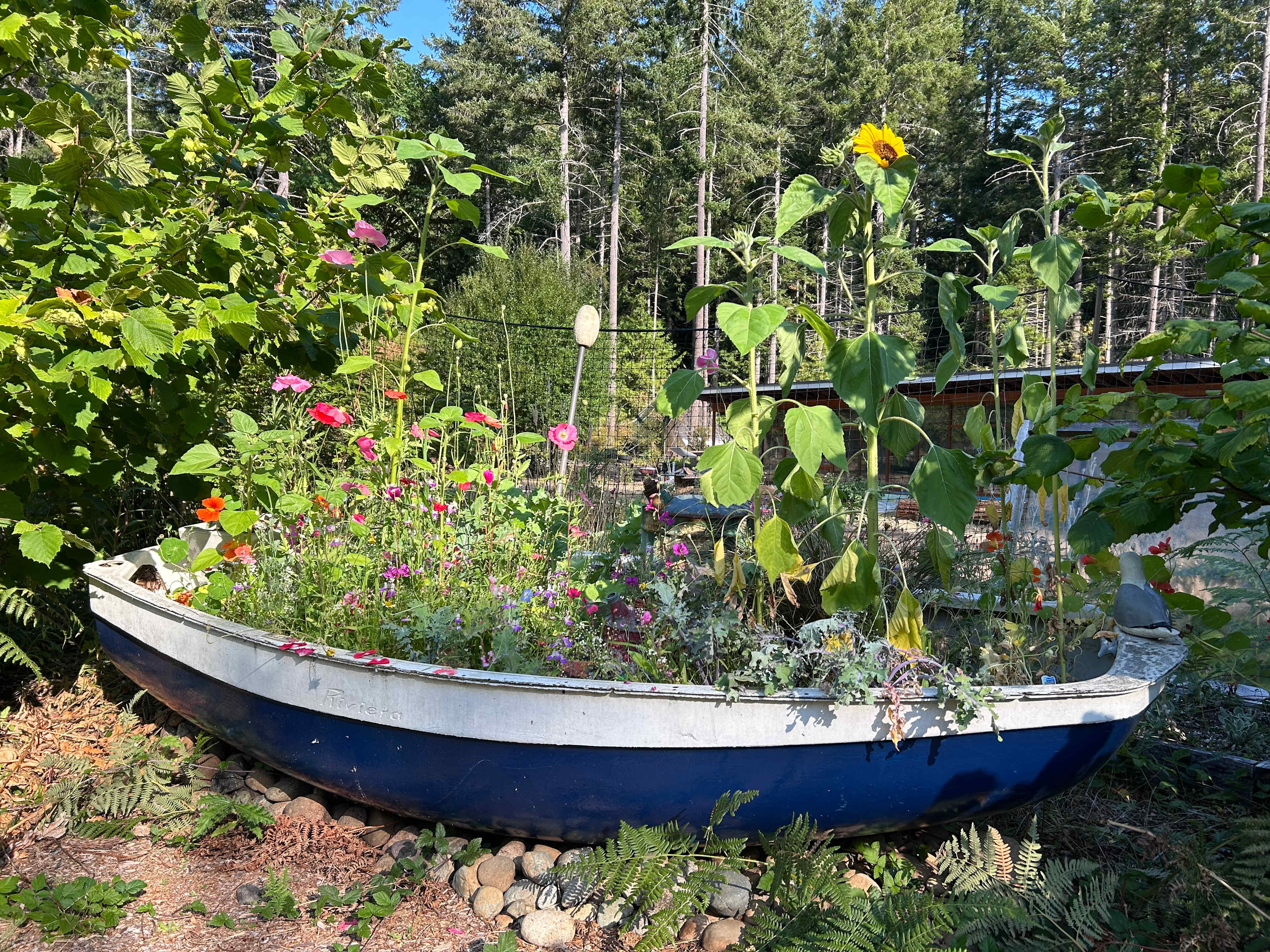 theDoighouse Earthship