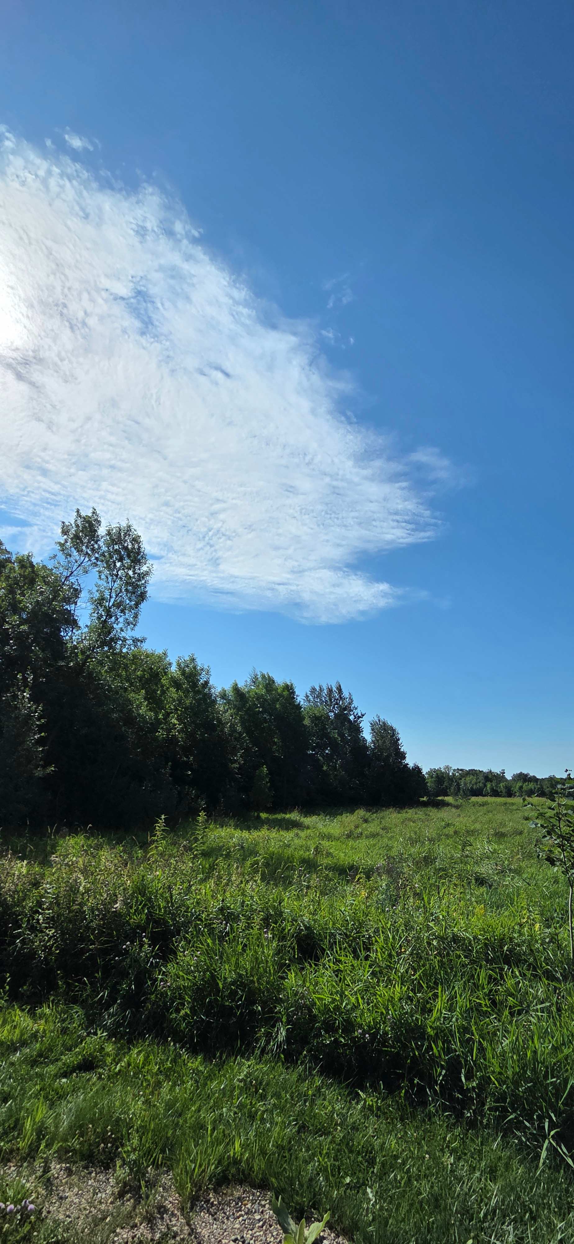 Maplewood RV Park and Camp