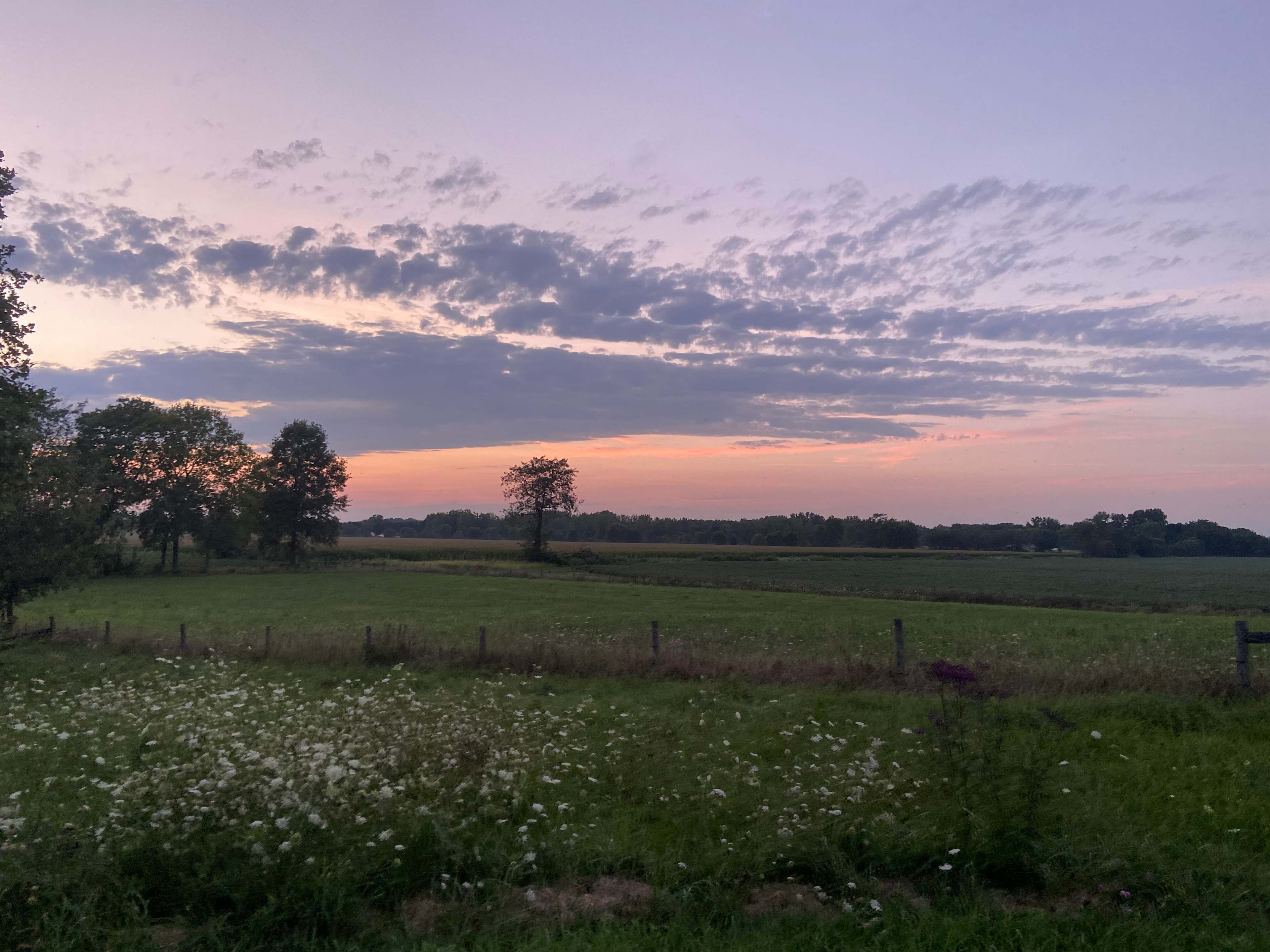 Bellawood Farm