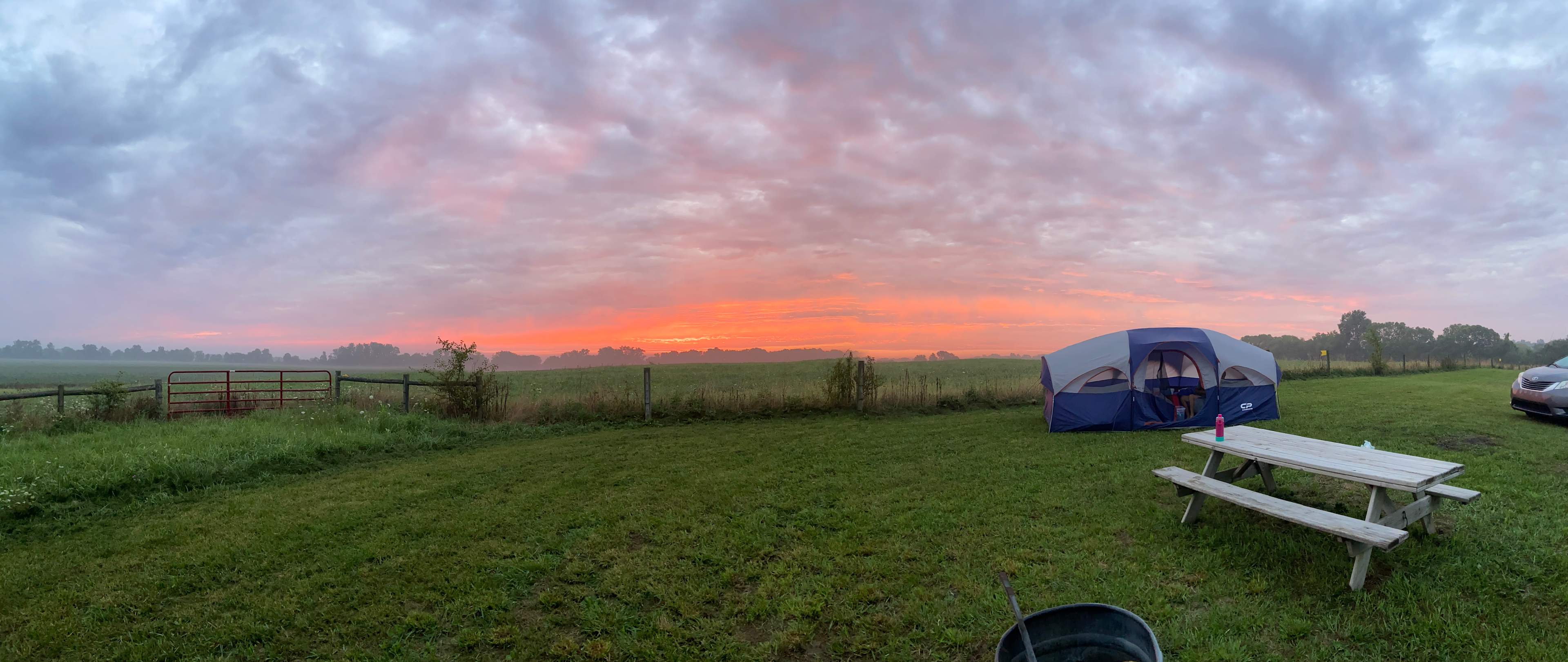 Picture of the site
