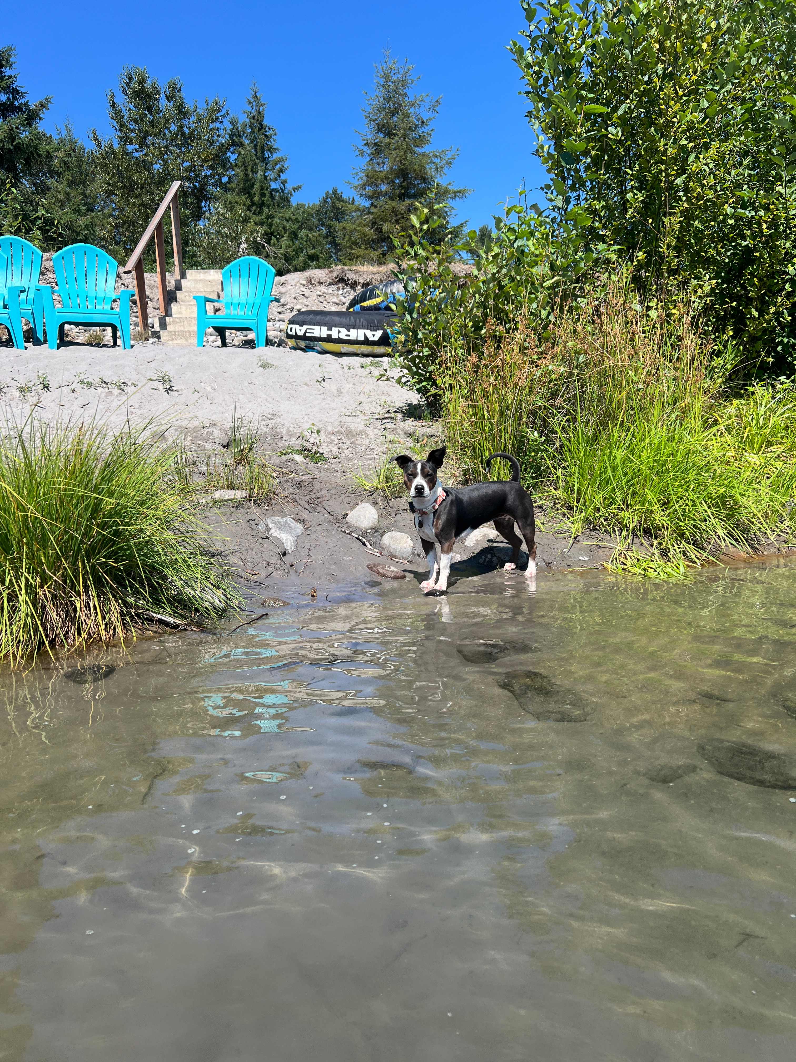 Otter Pond Riverfront Getaway
