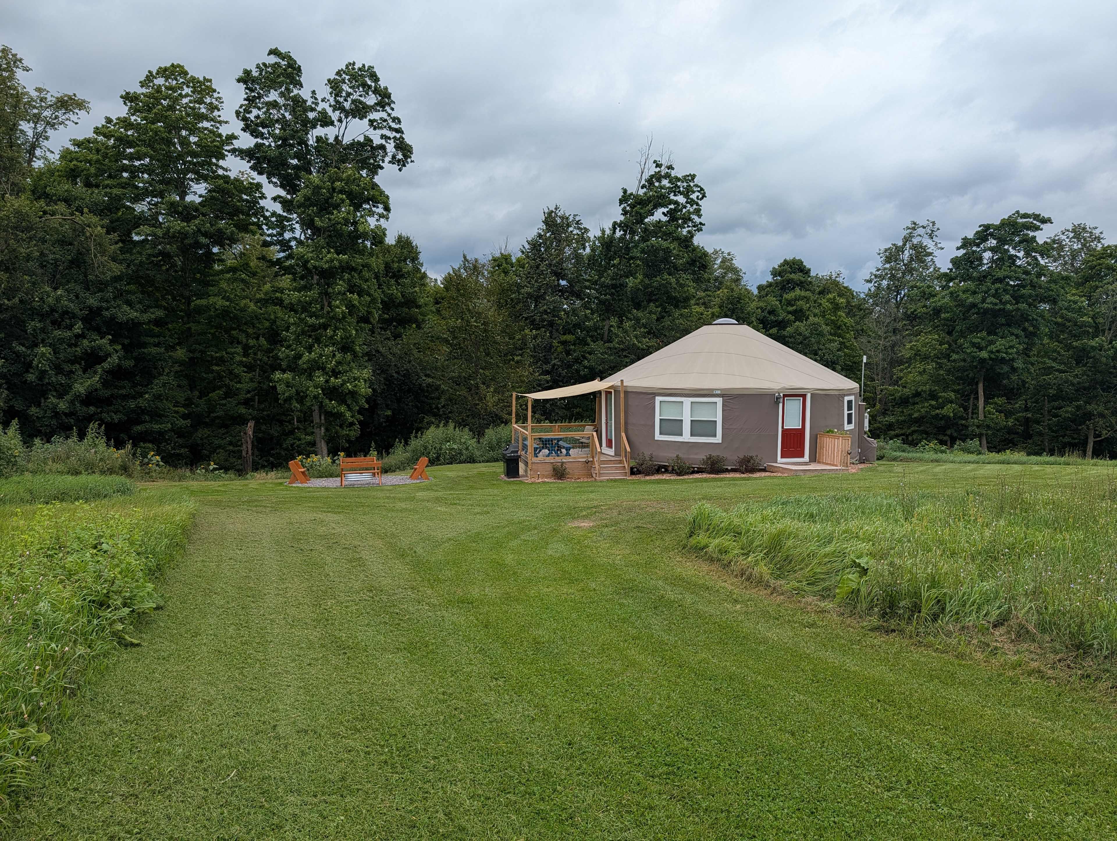 Picture of the site