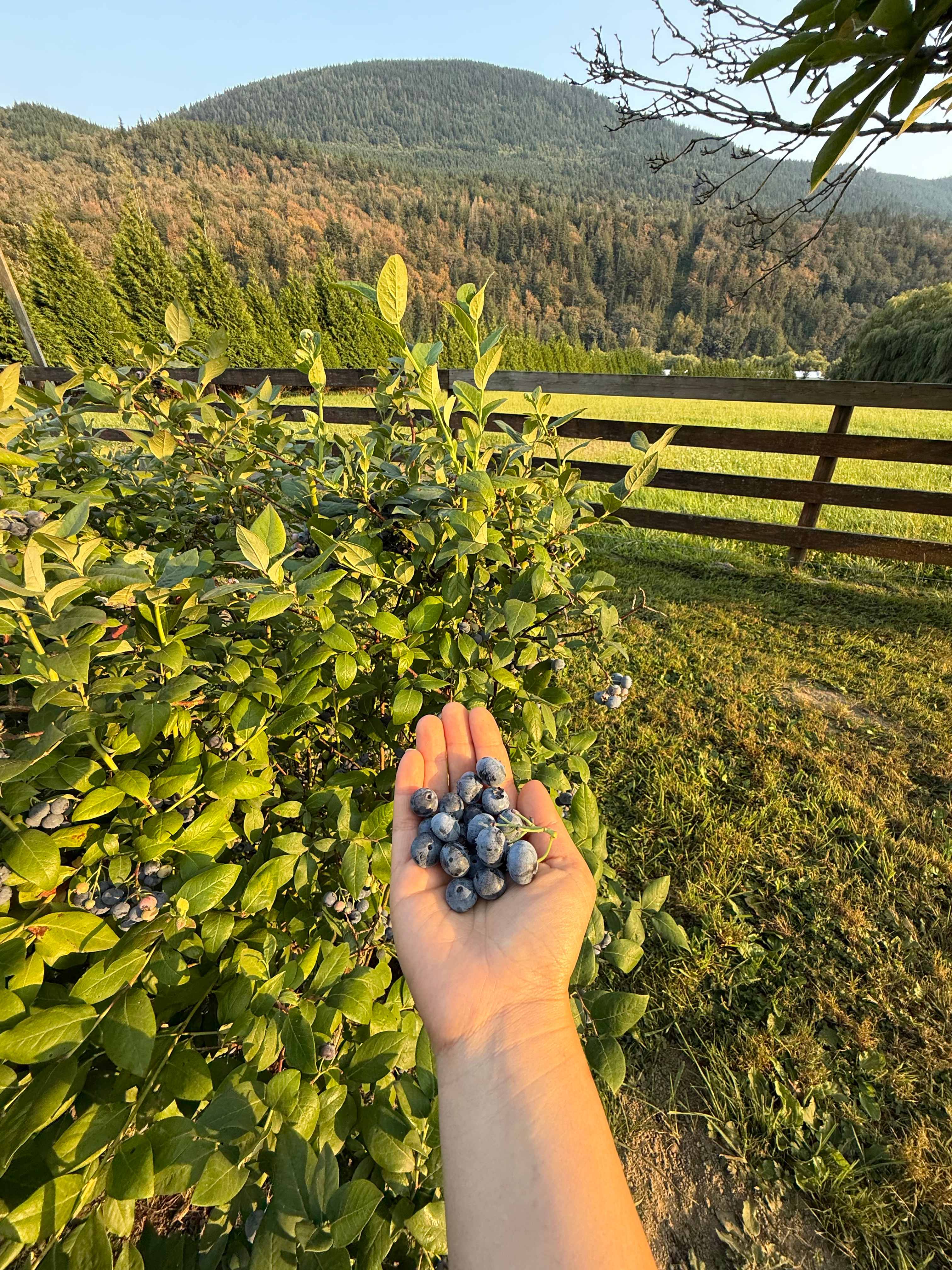 Mixed Barrel Farm