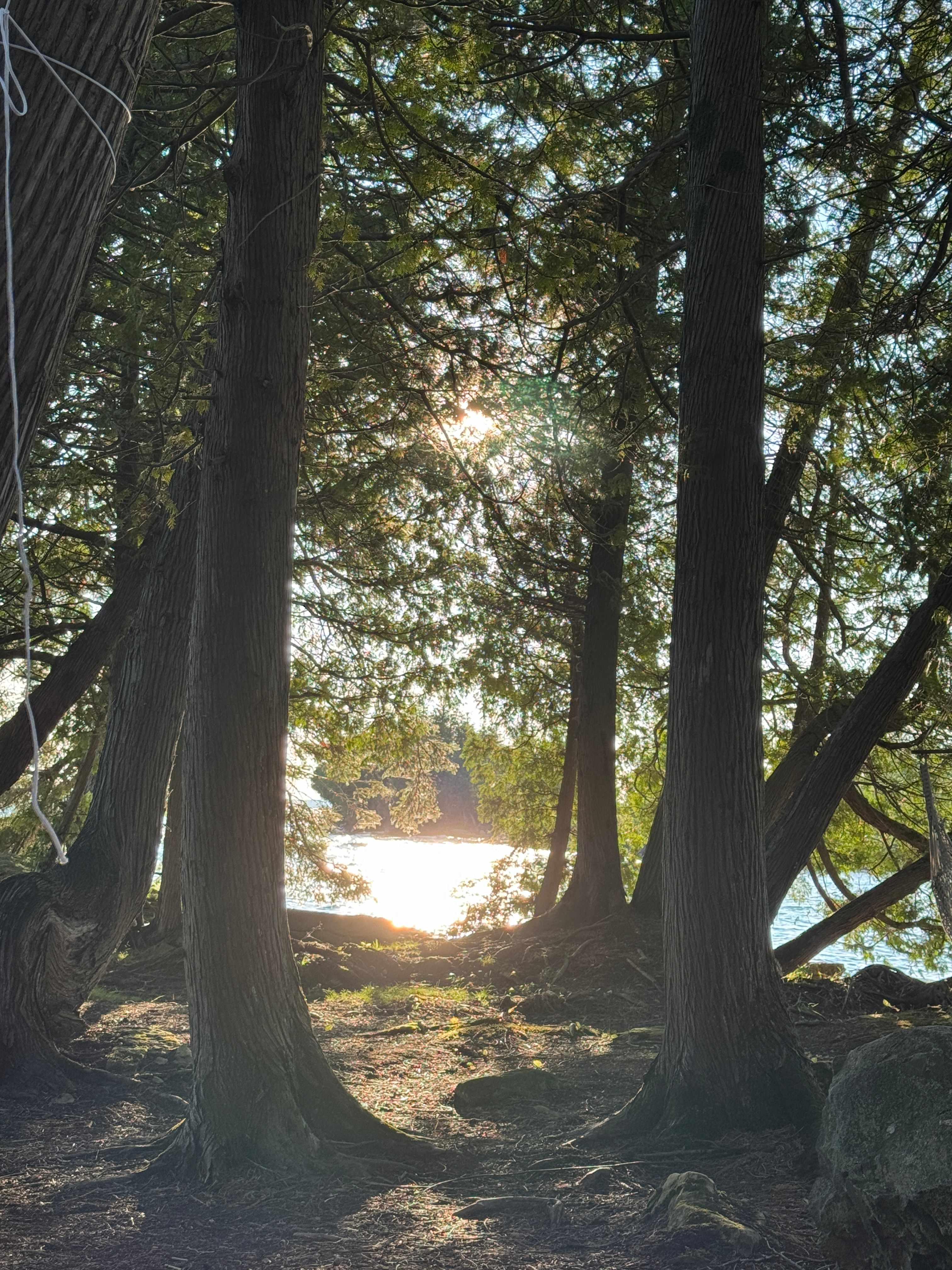 Lakepoint Lodging and Camping