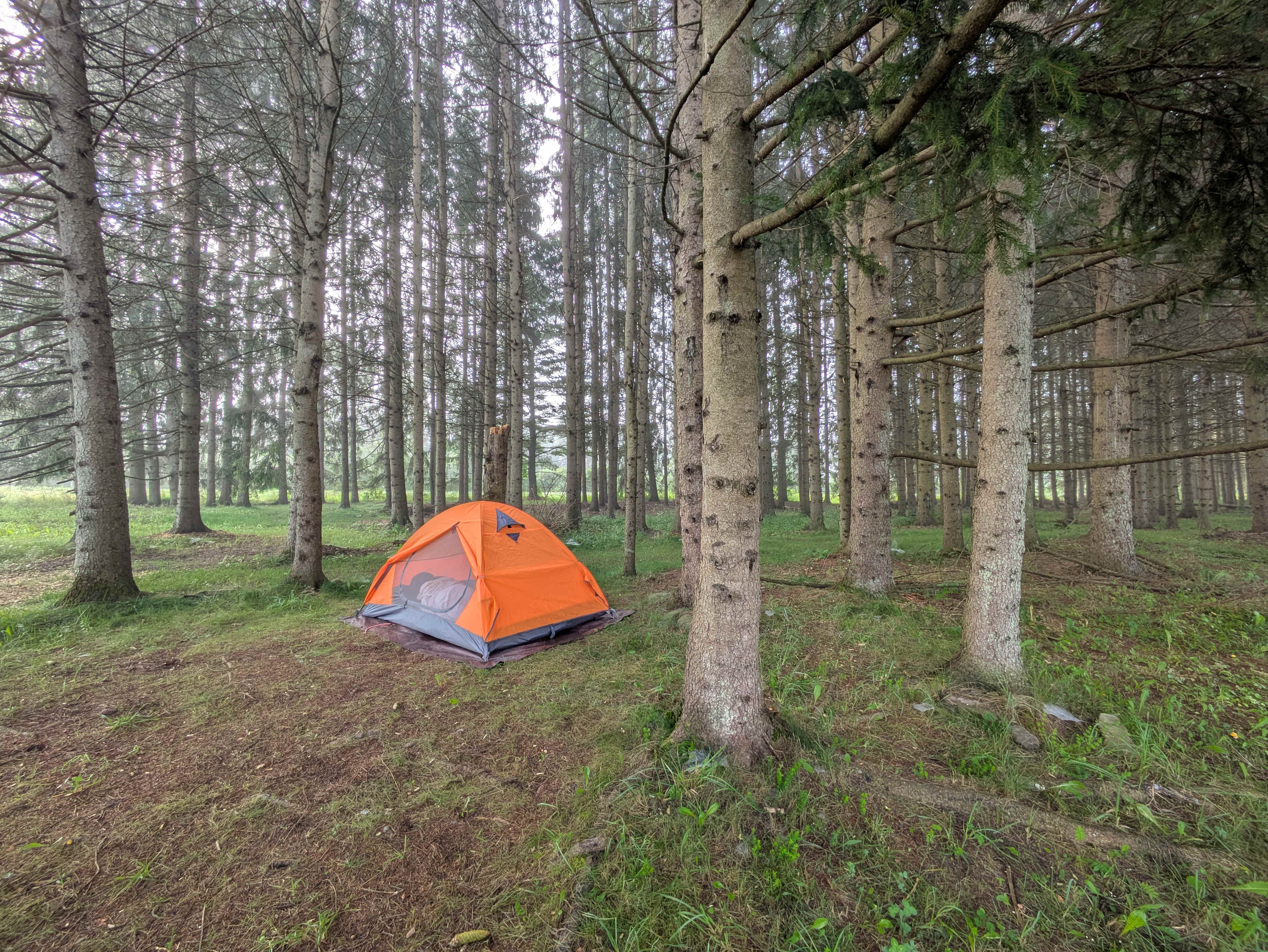 Tempest Ranch camp