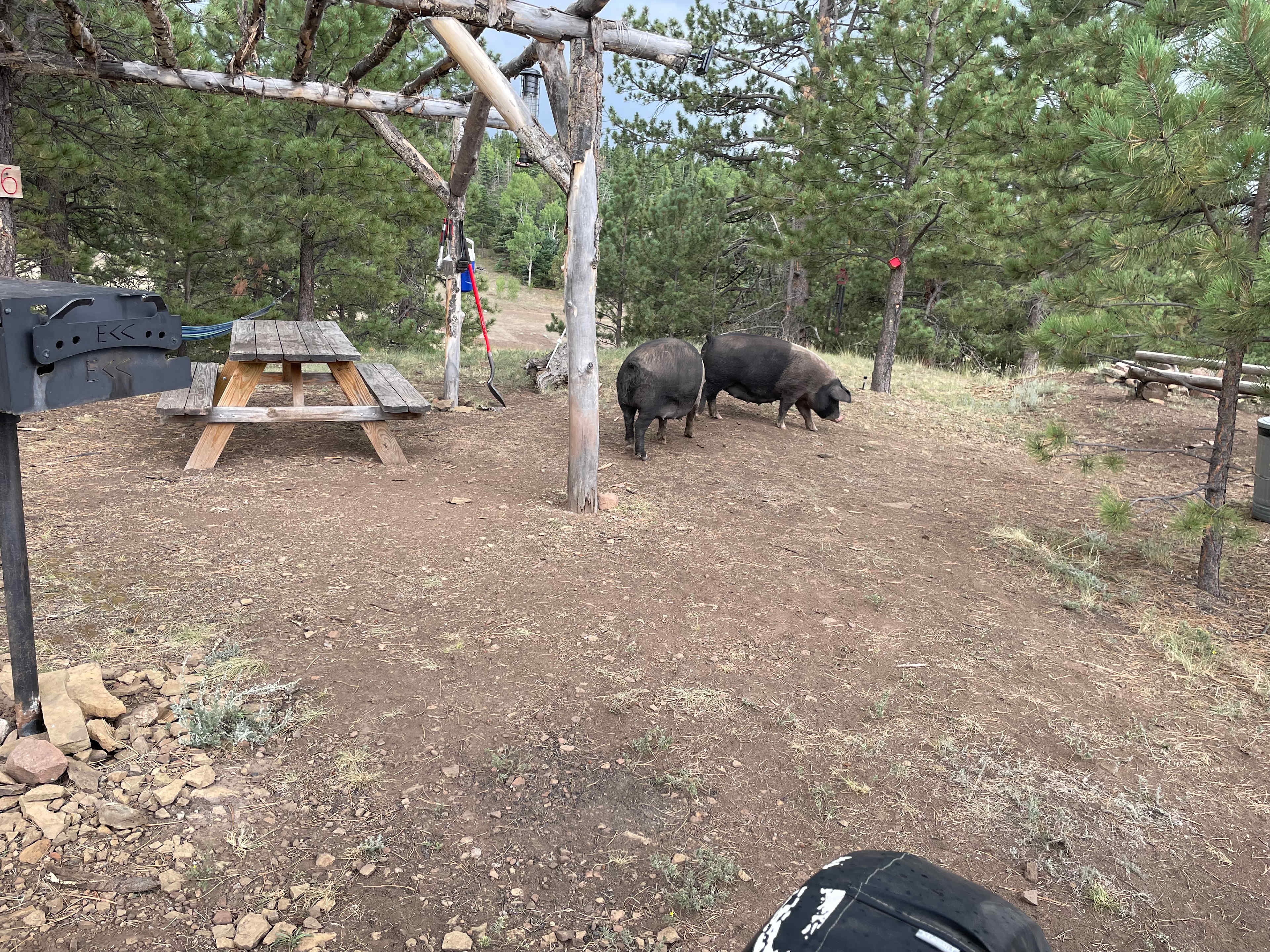 Enchanted Circle Campground (E<<)