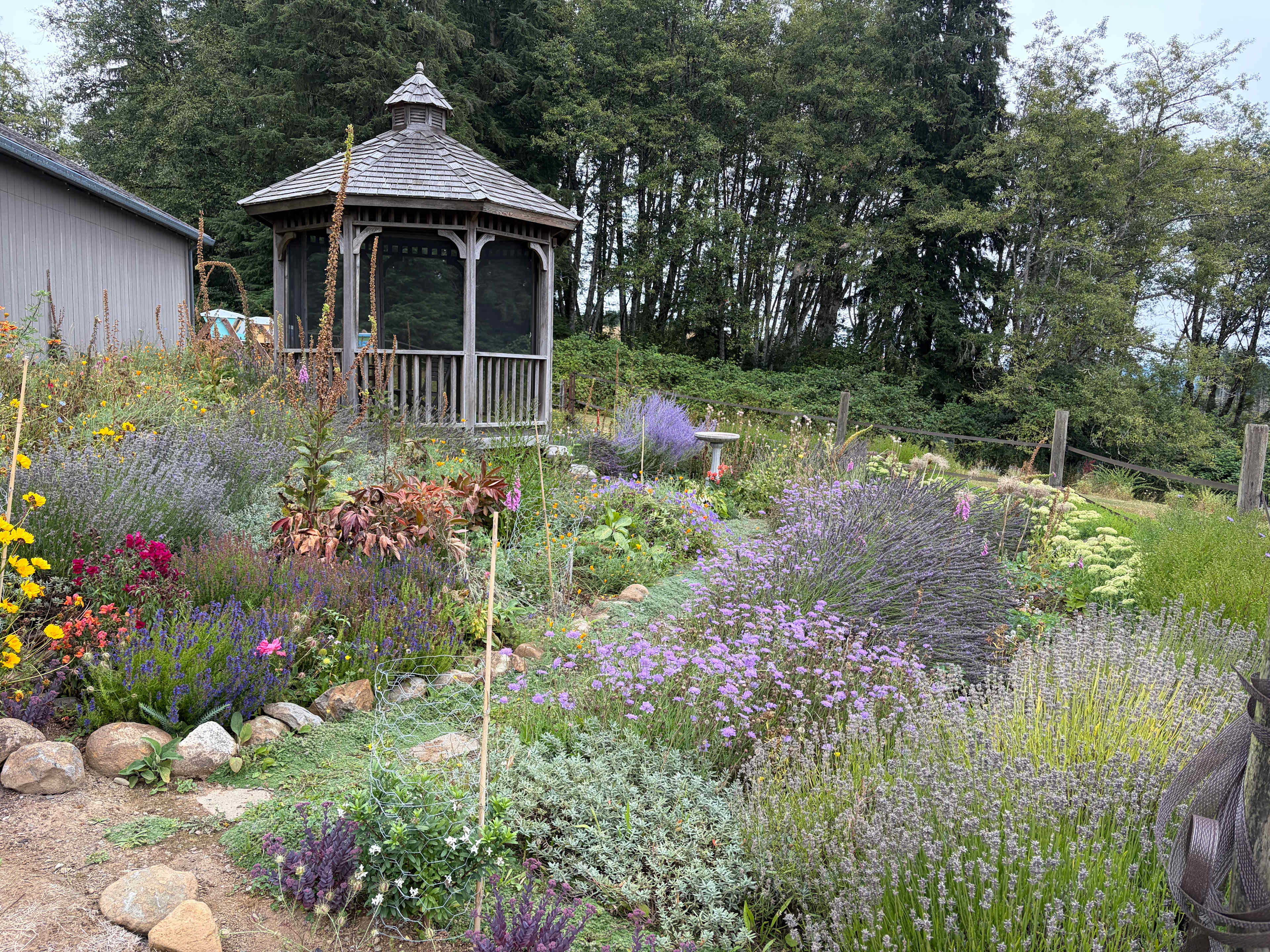 Bee Inspired Garden