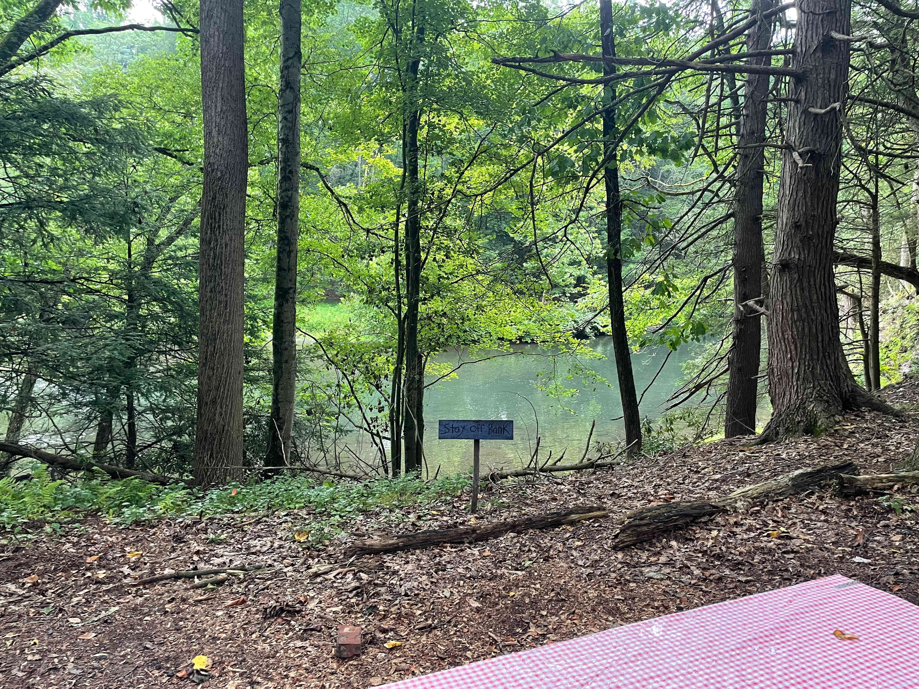 Peace & Quiet by the River!