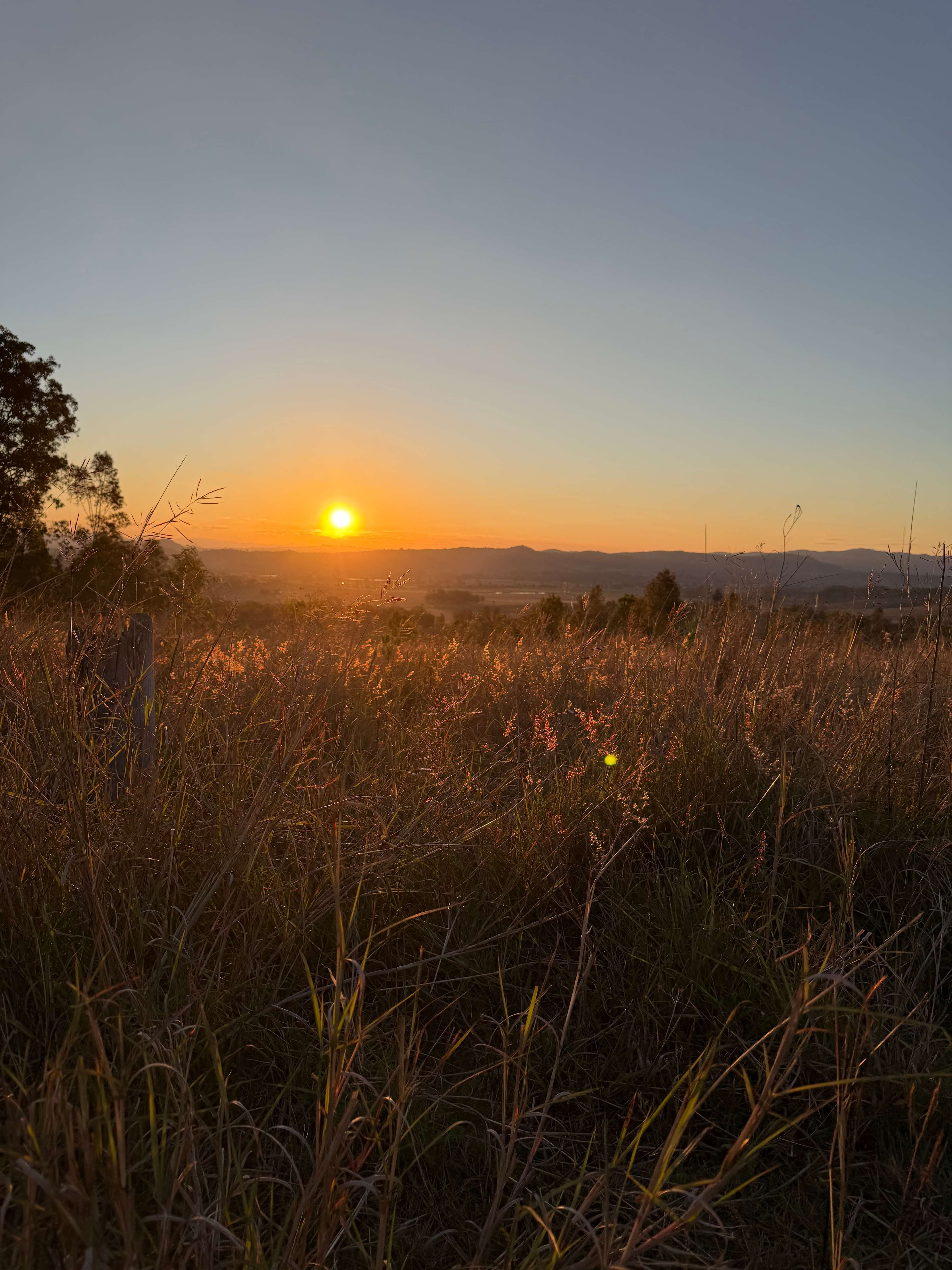 View from site 10