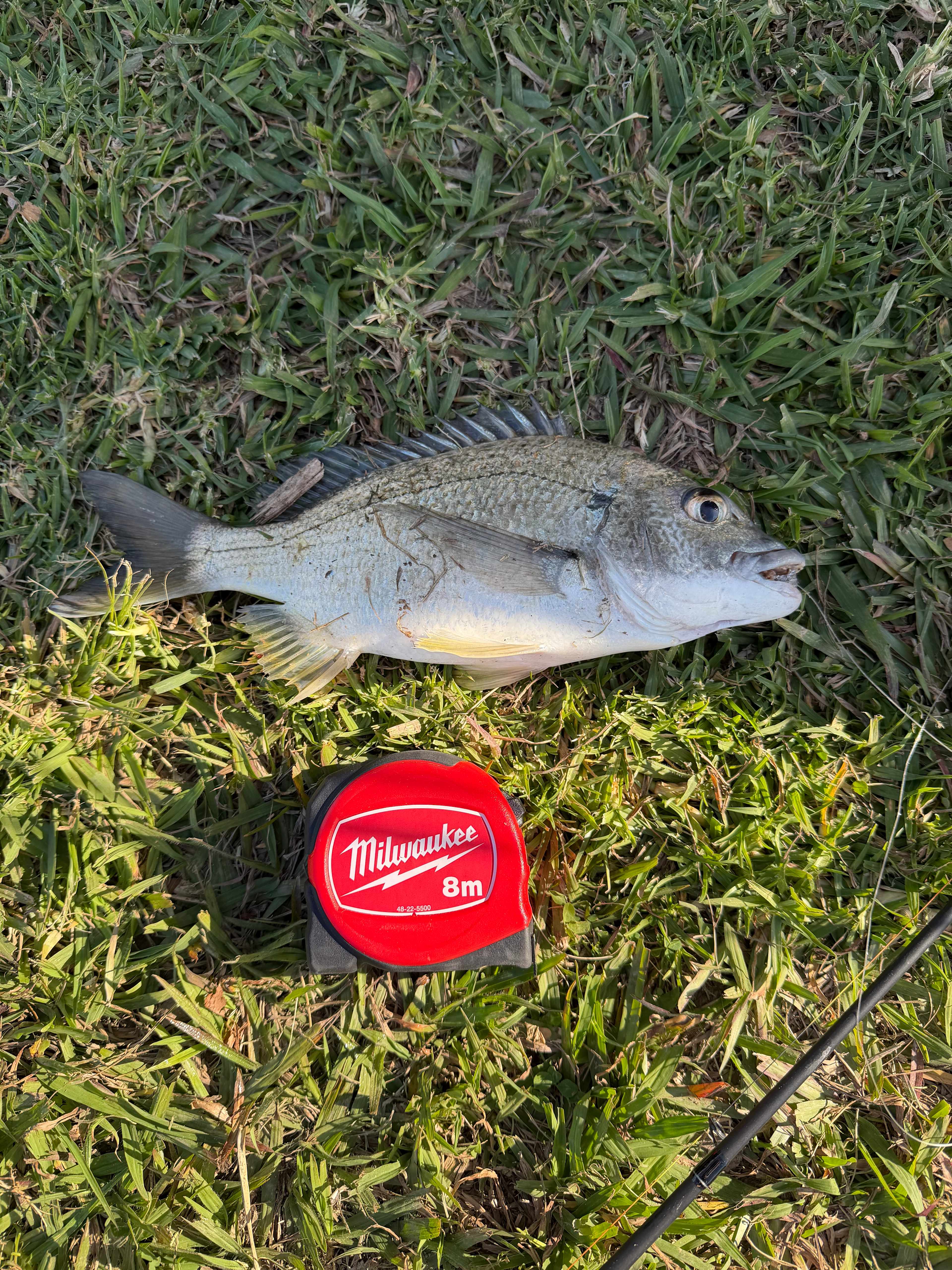 Anchorage Park Urunga