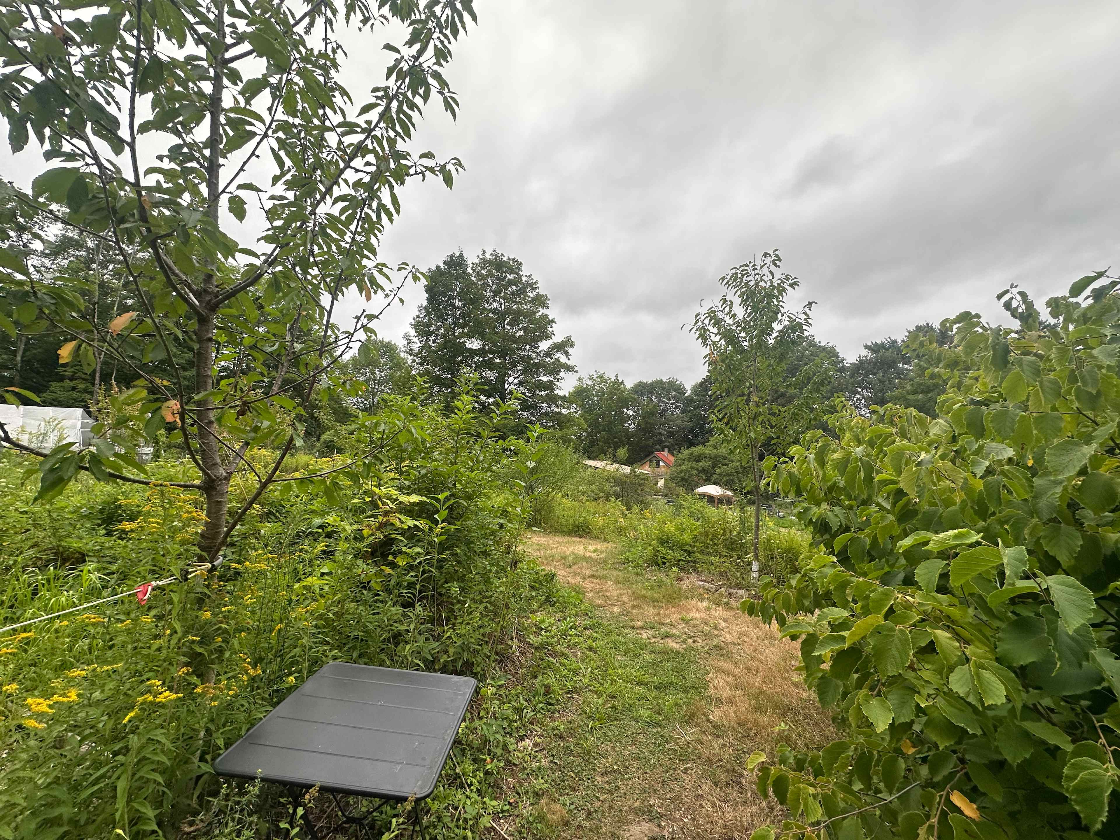 view from tent site 