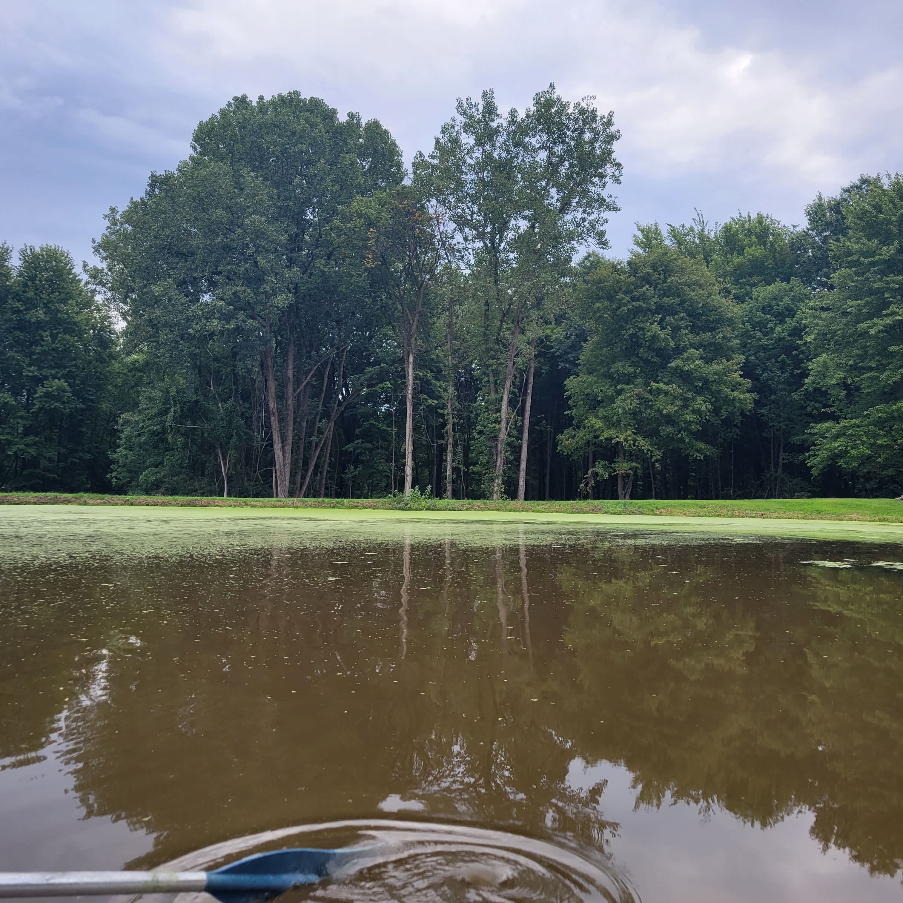 The Lake at the Flying J Farm