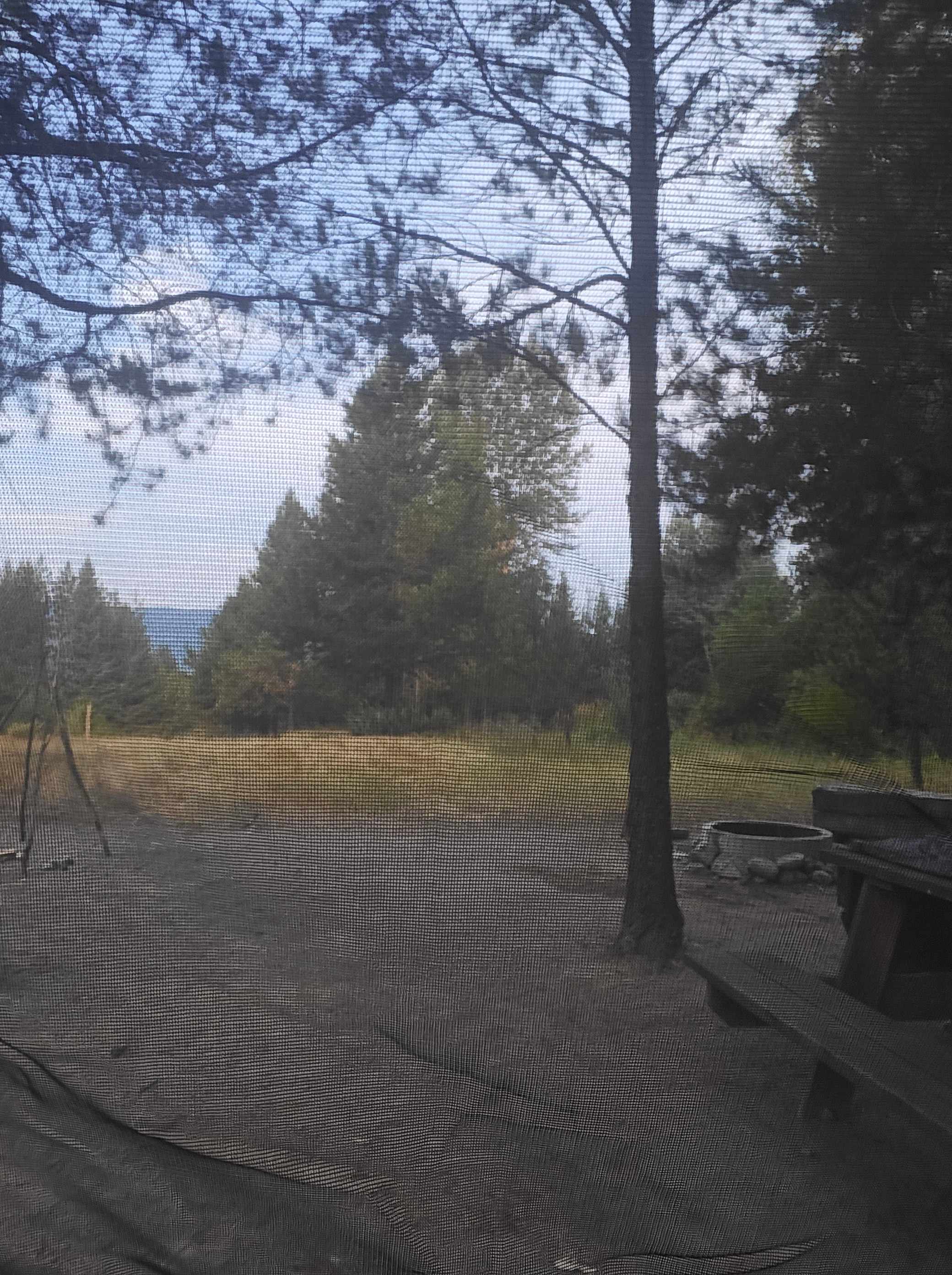 View from our site