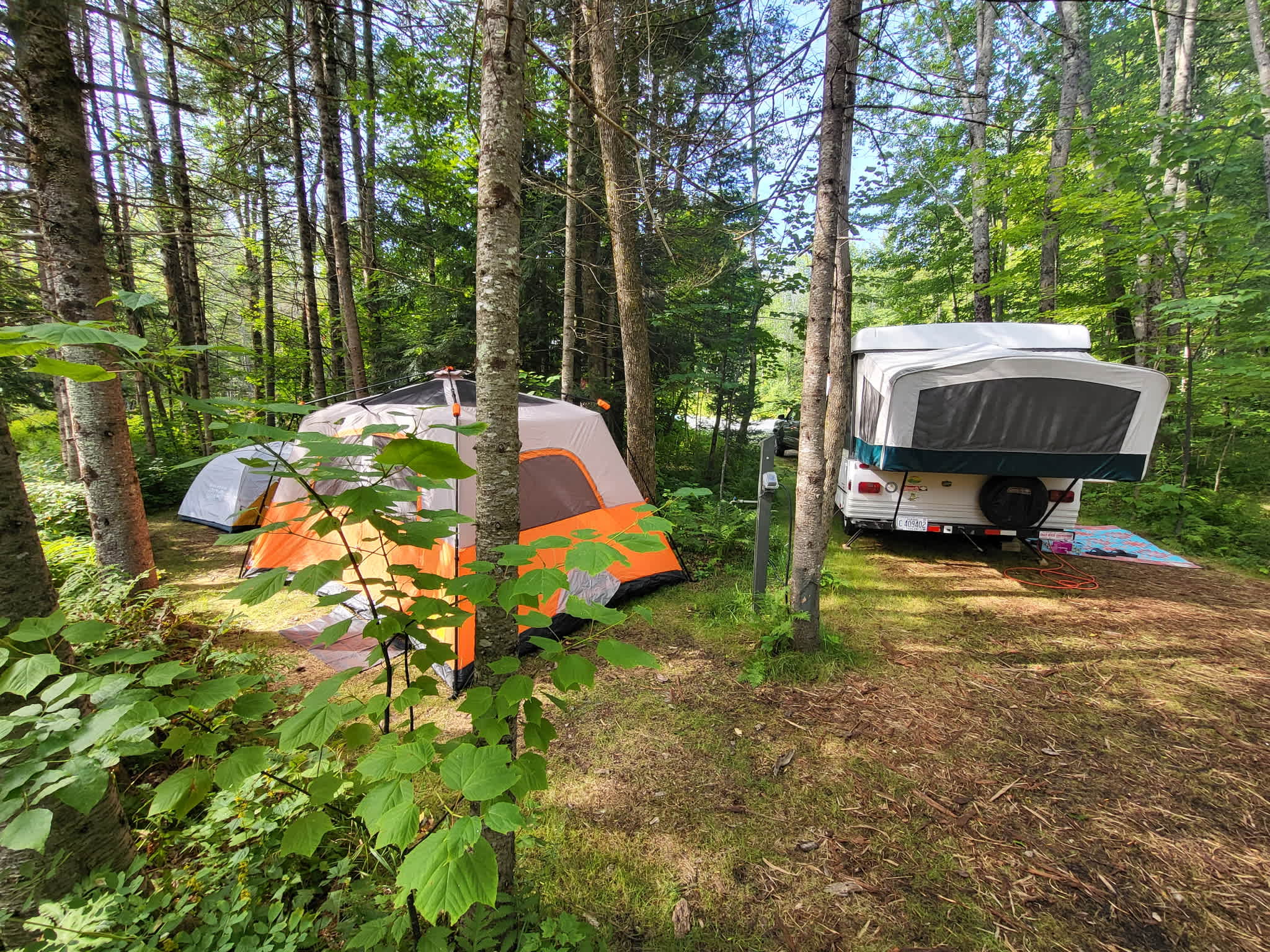 Fern Hollow site 
