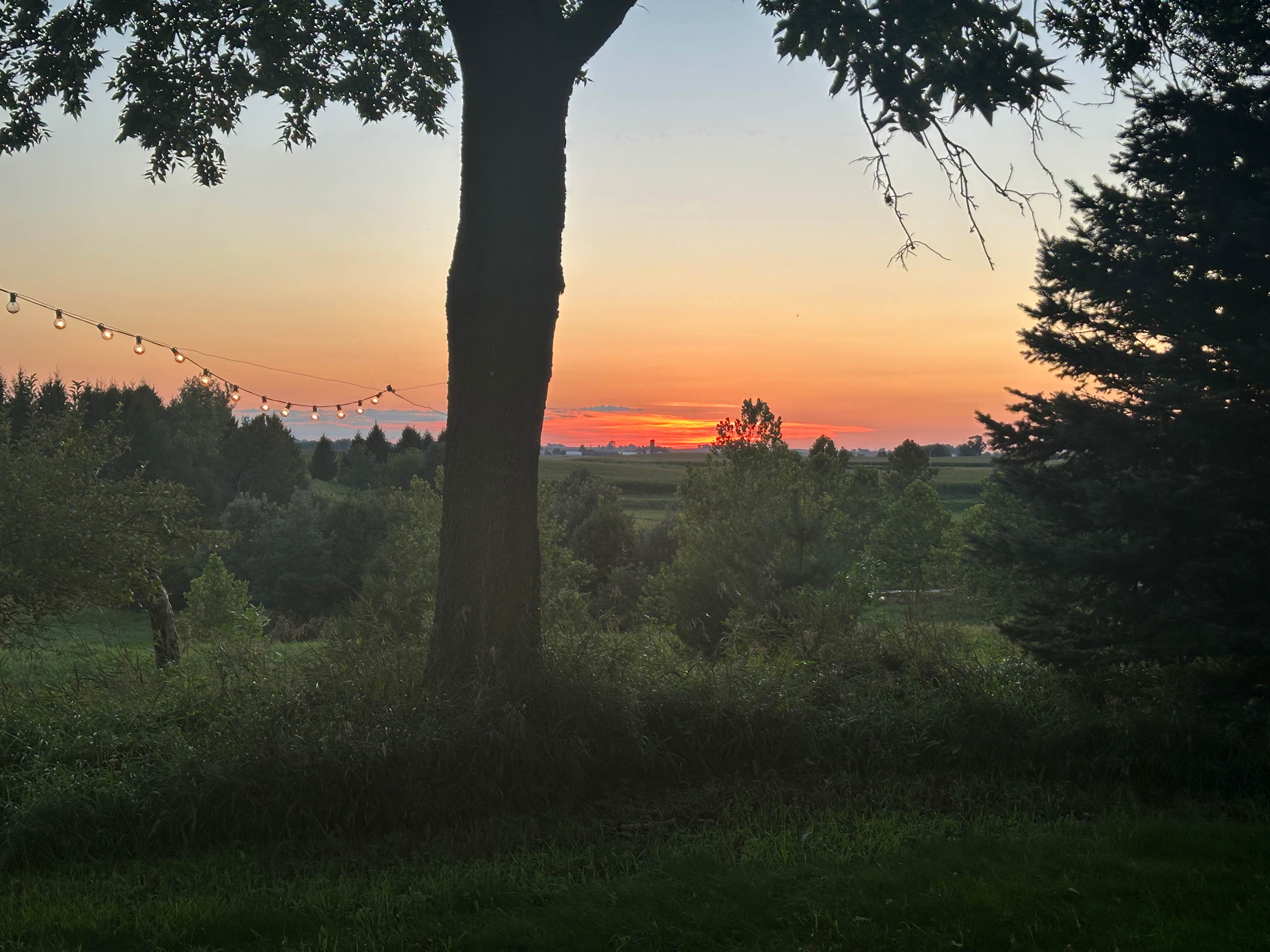 Lovely sunset