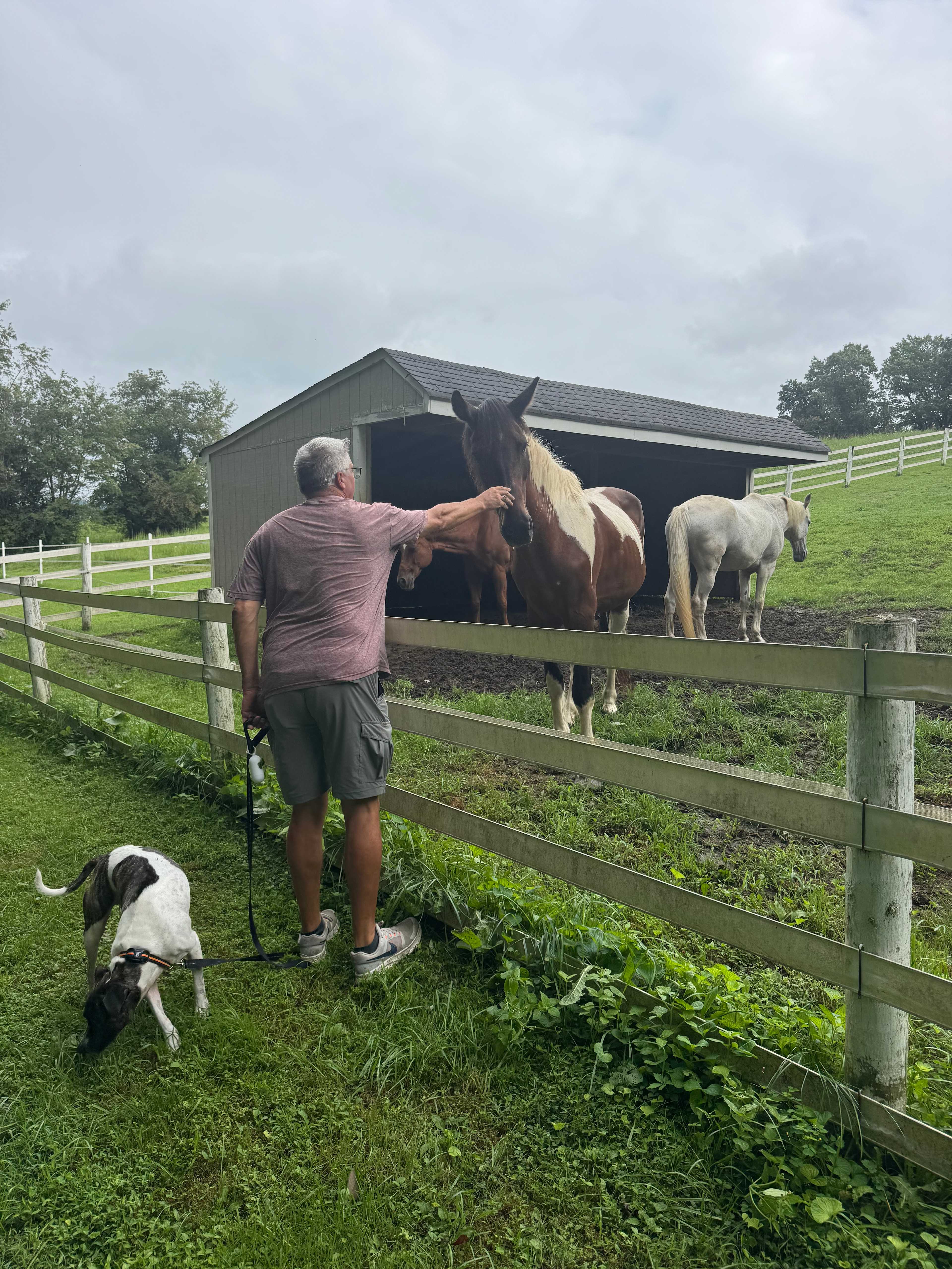 Camp Comus, LLC