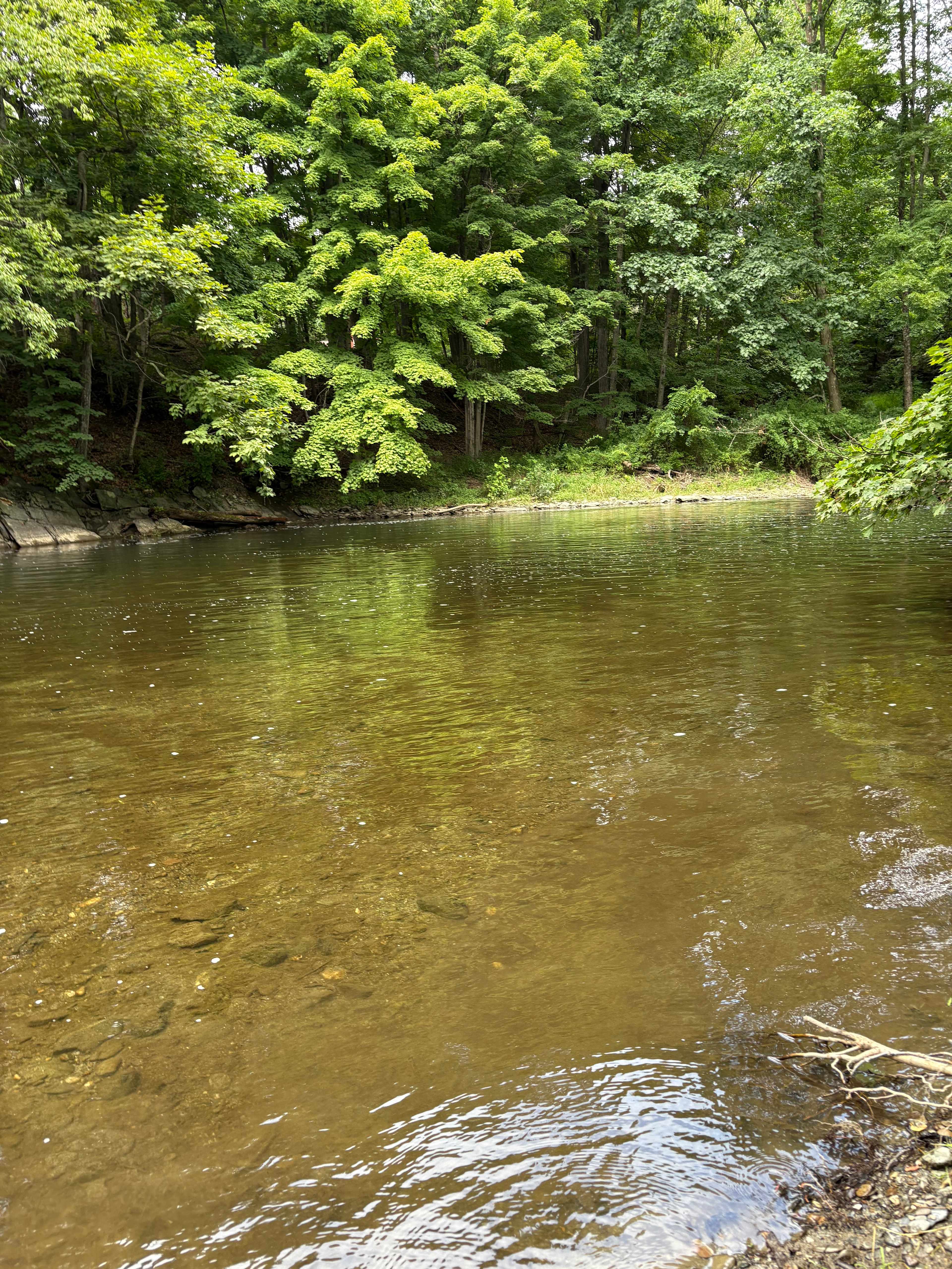 Hucklebuck Railway Campsites