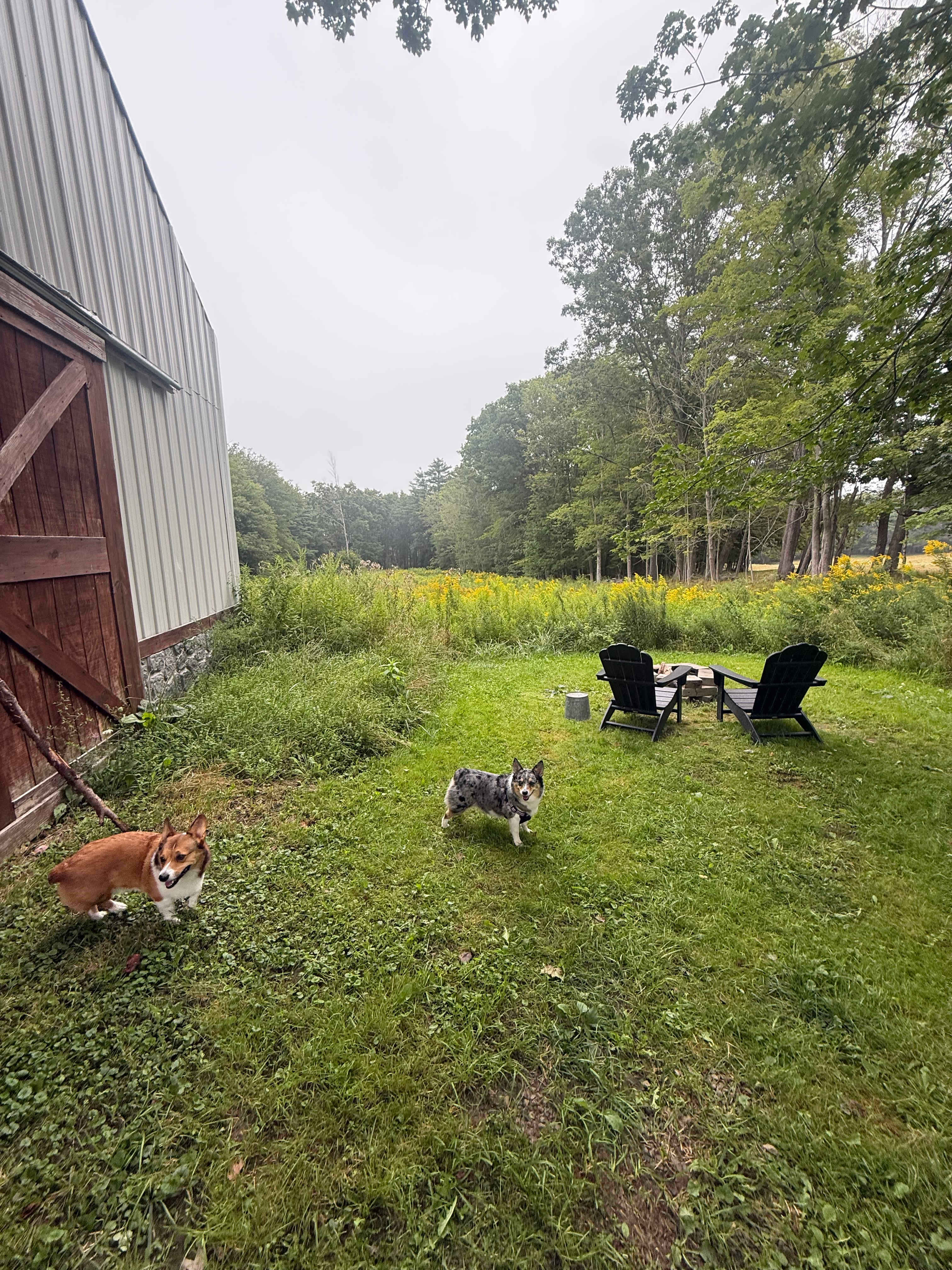 Appleseed Flower Farm at York Beach