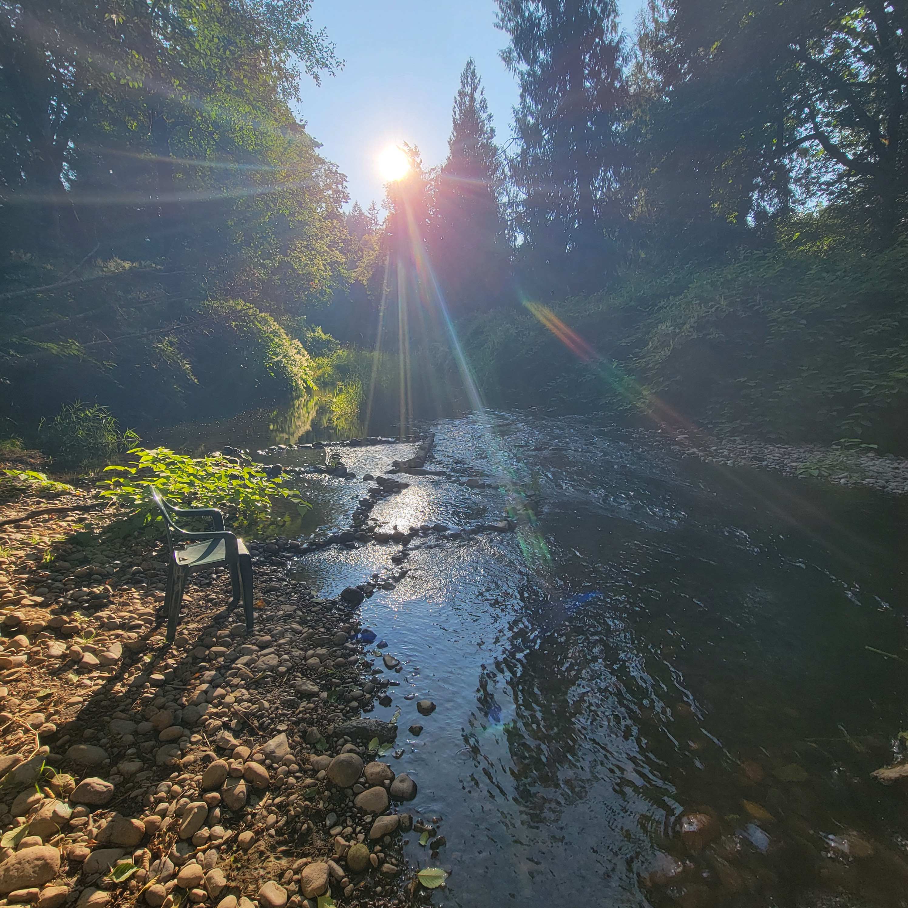 Isla Springs