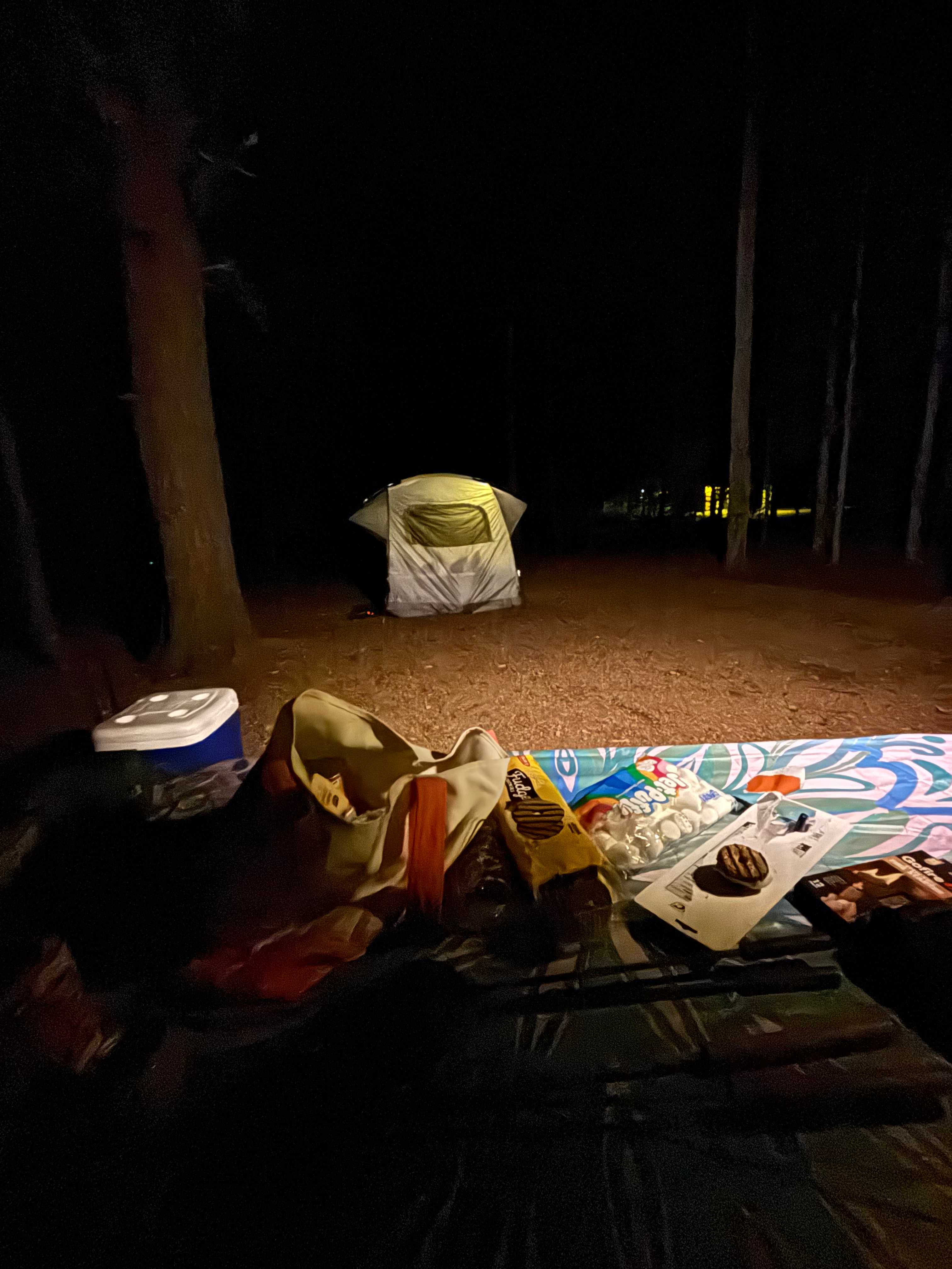 Picture of the site