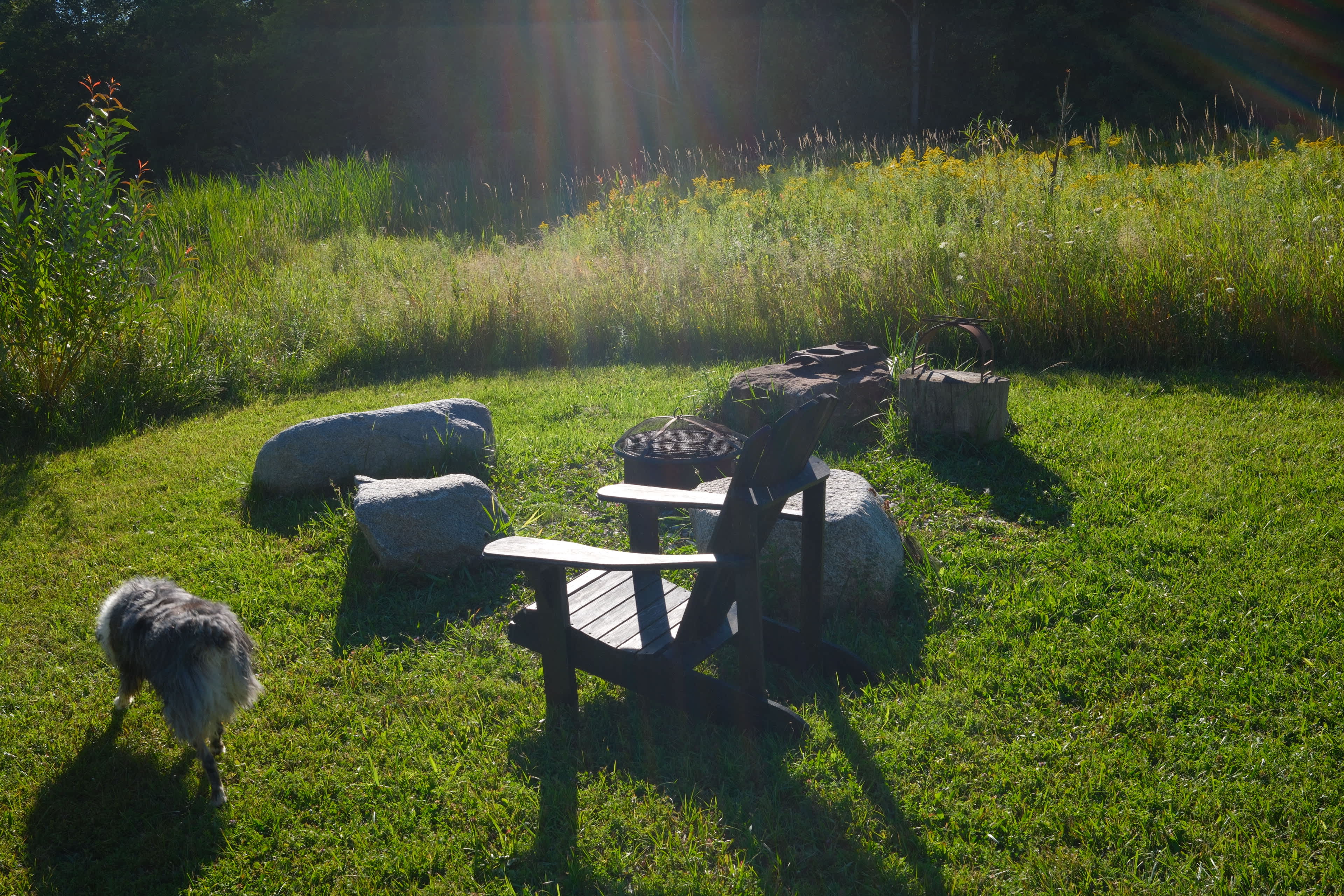 Magical yurt site