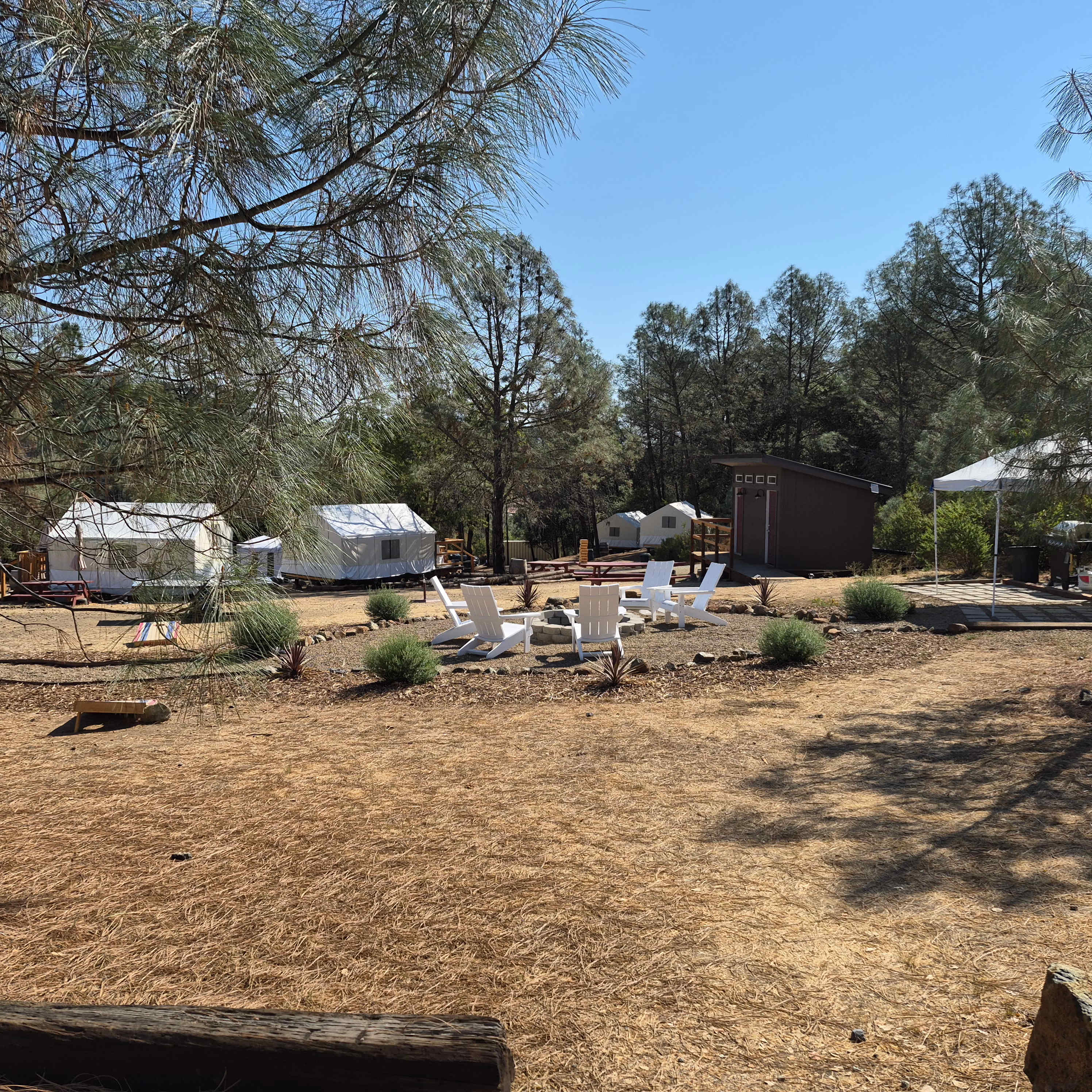 Picture of the site