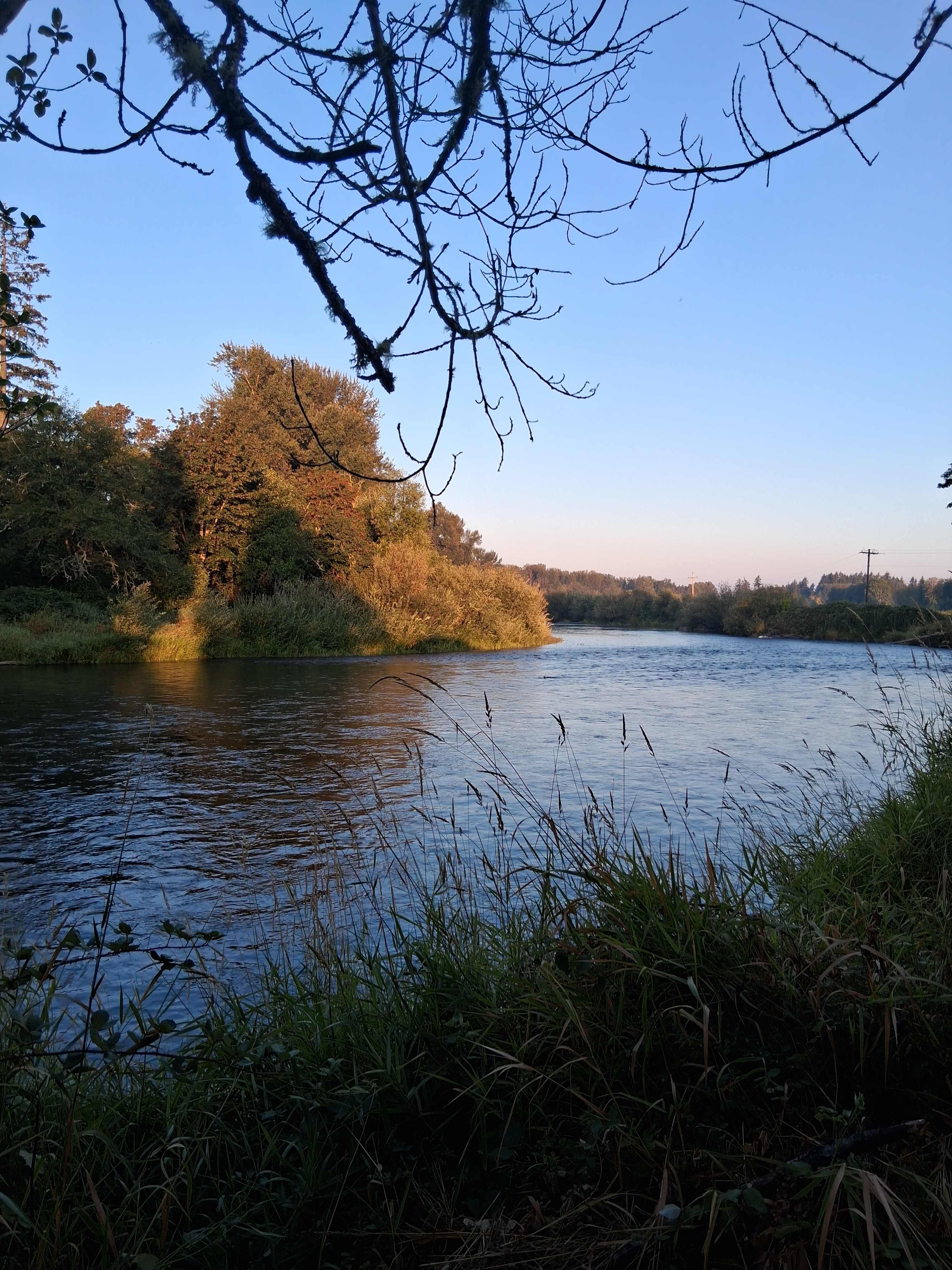 73 Acres Farm w/River