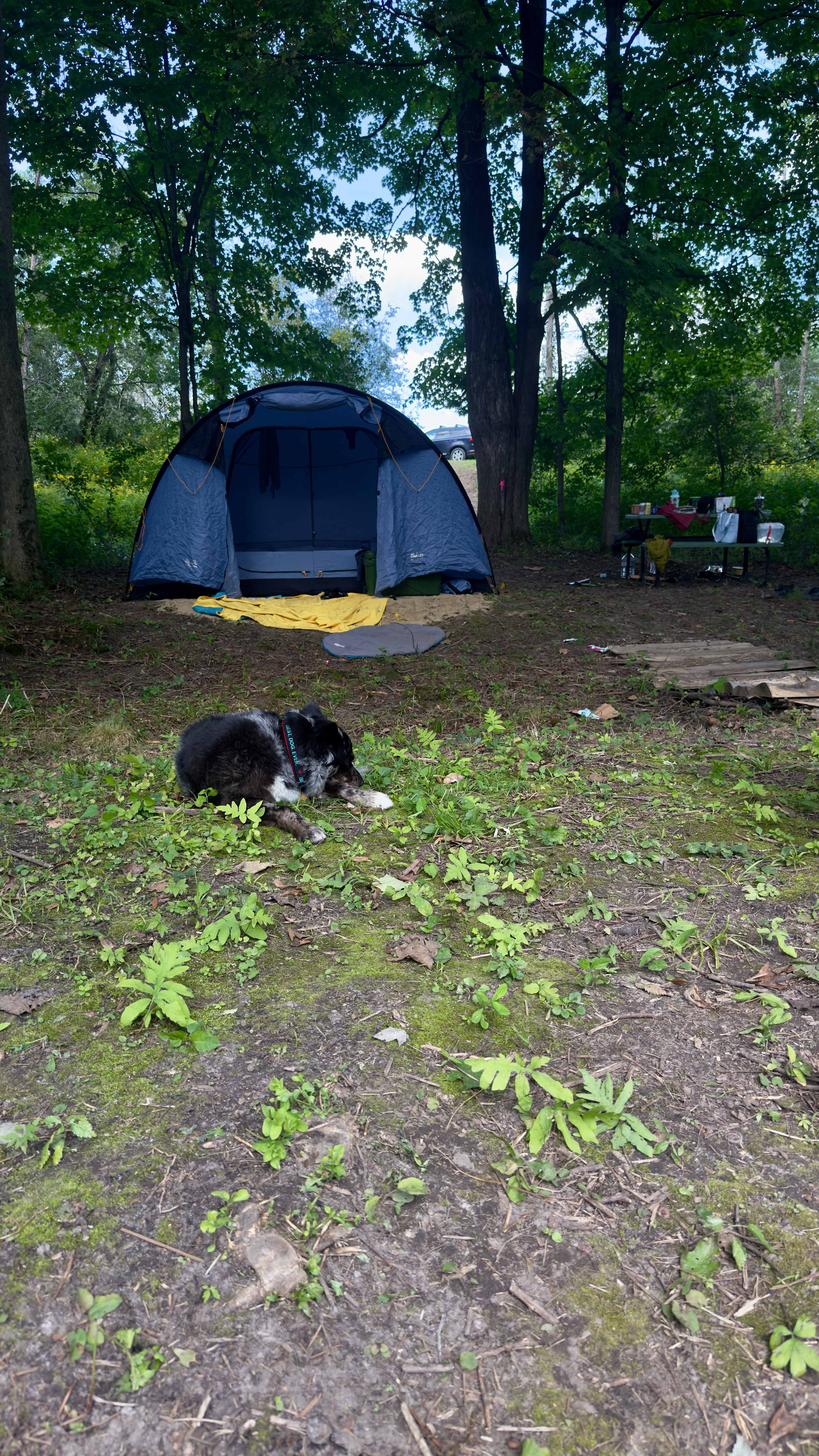 Wild Camping, Just 45 Min. From Mtl