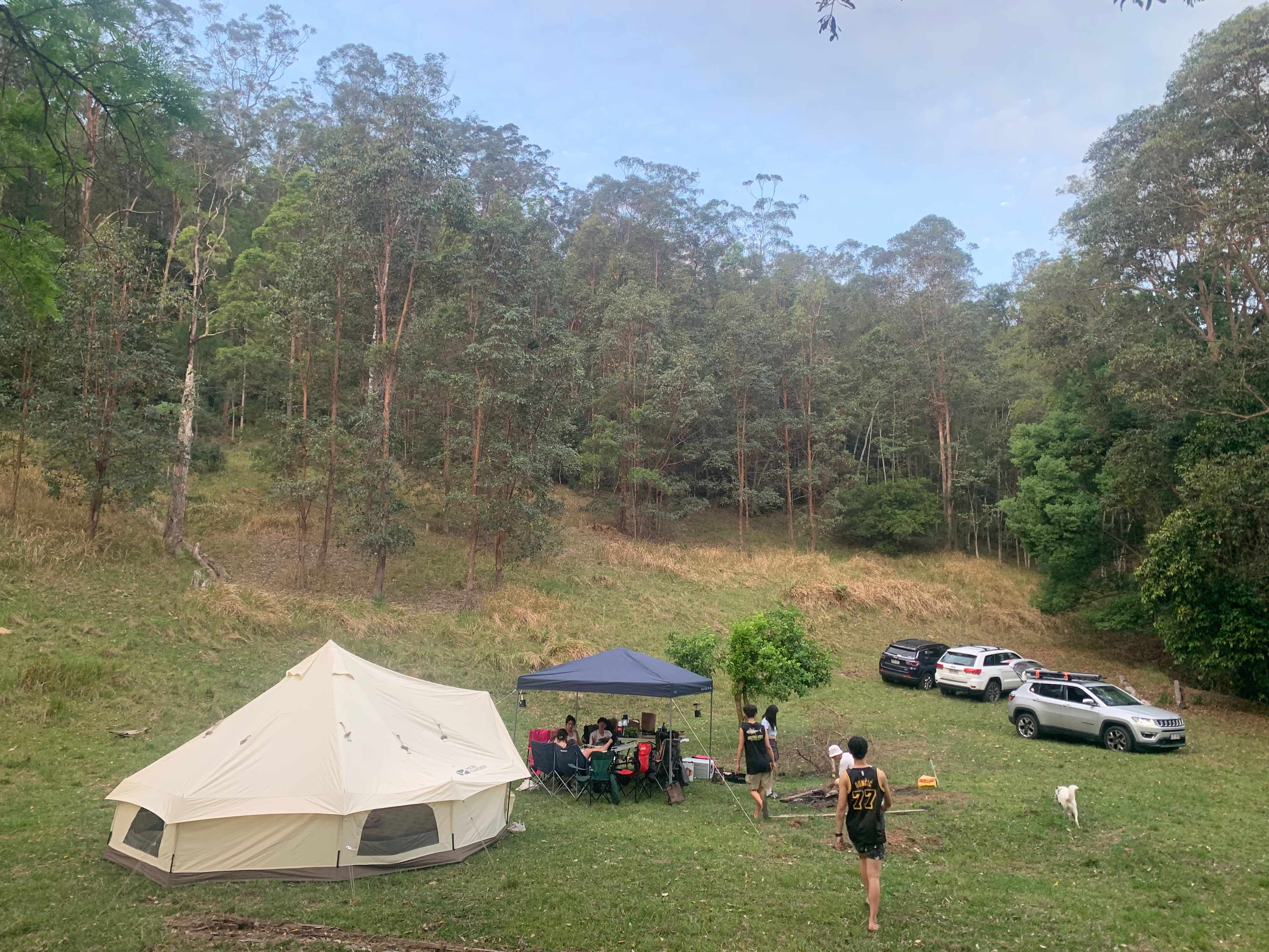 Picture of the site