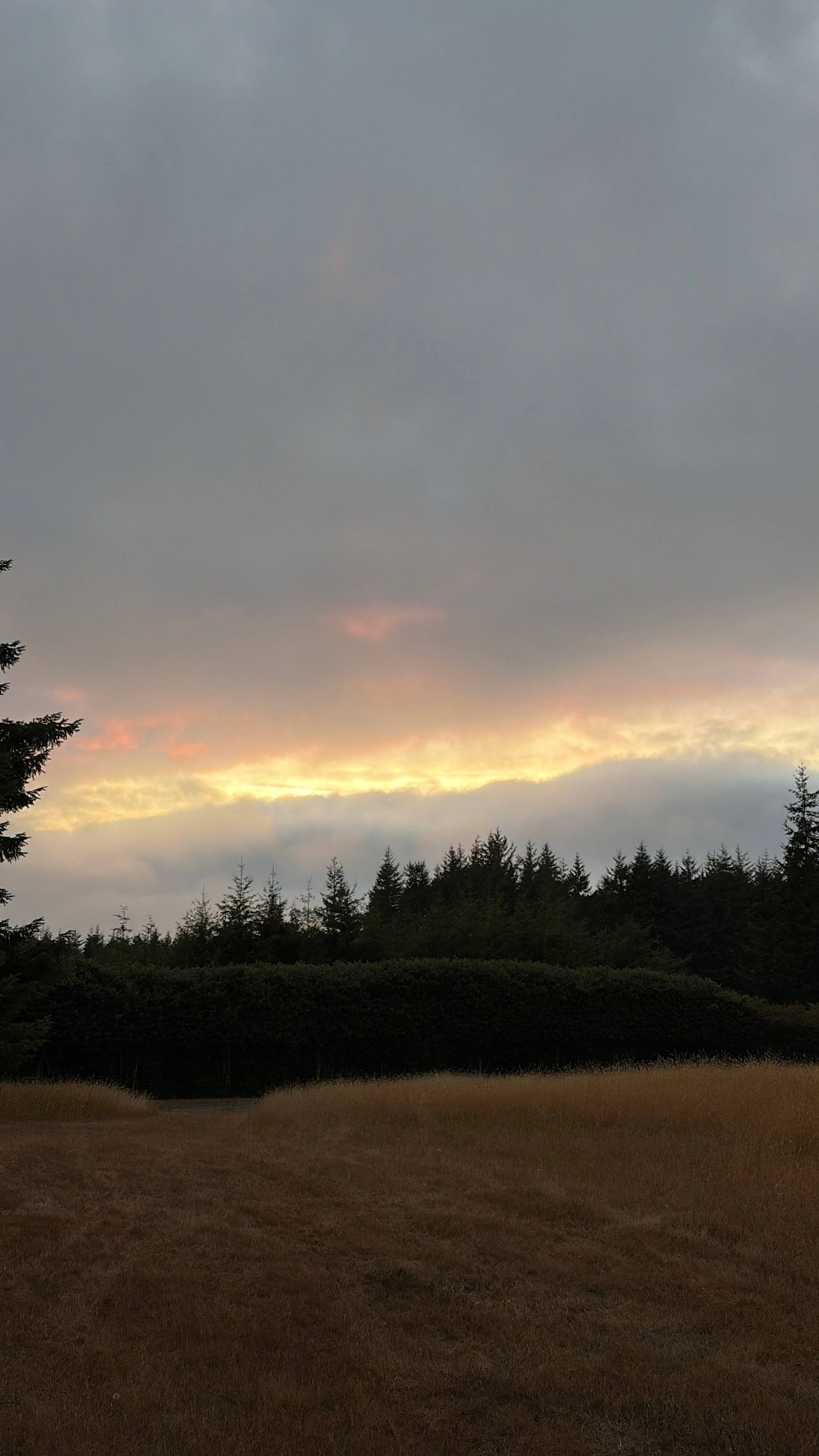 Cranberry Overlook