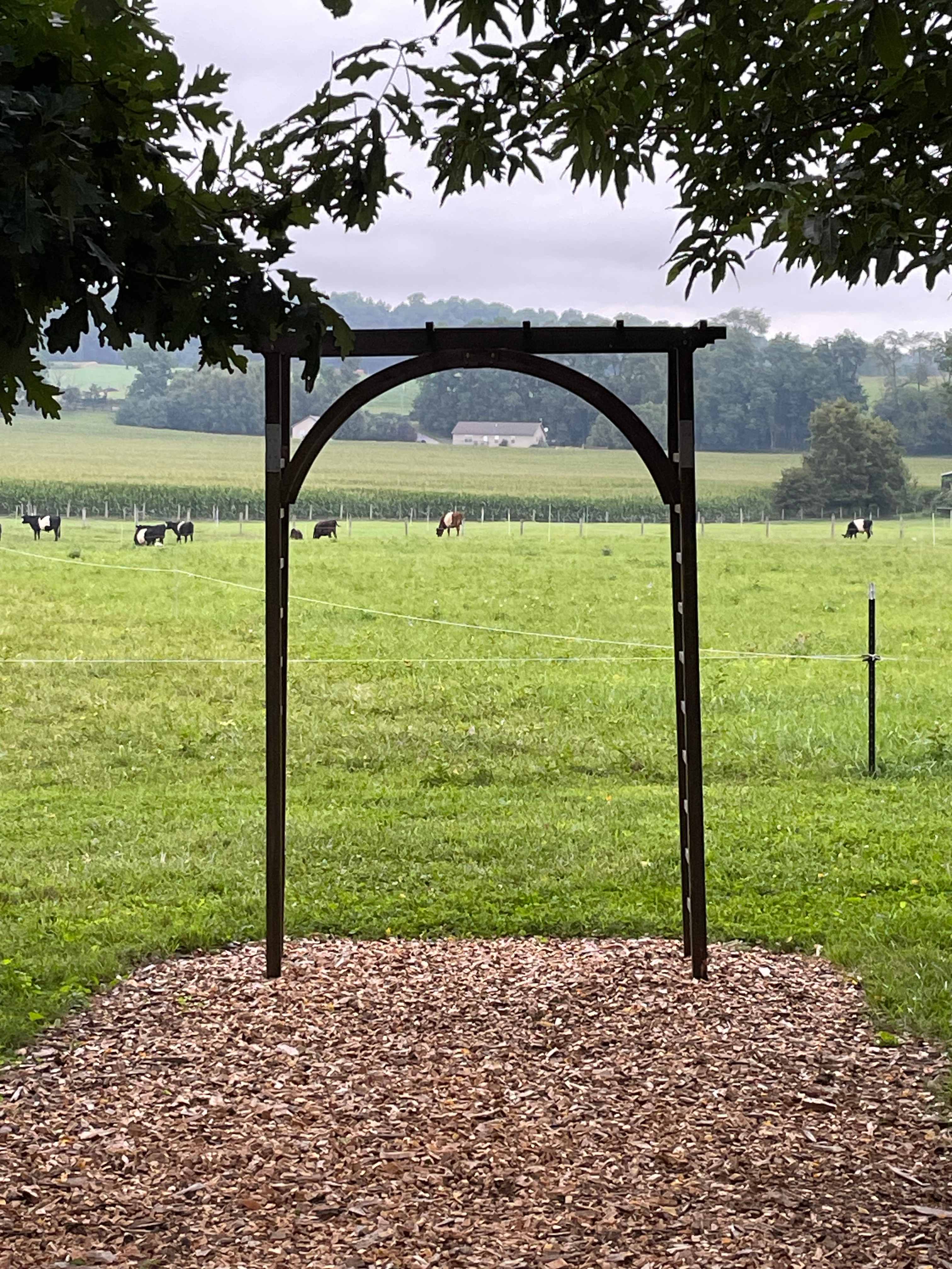 Romeo Acres