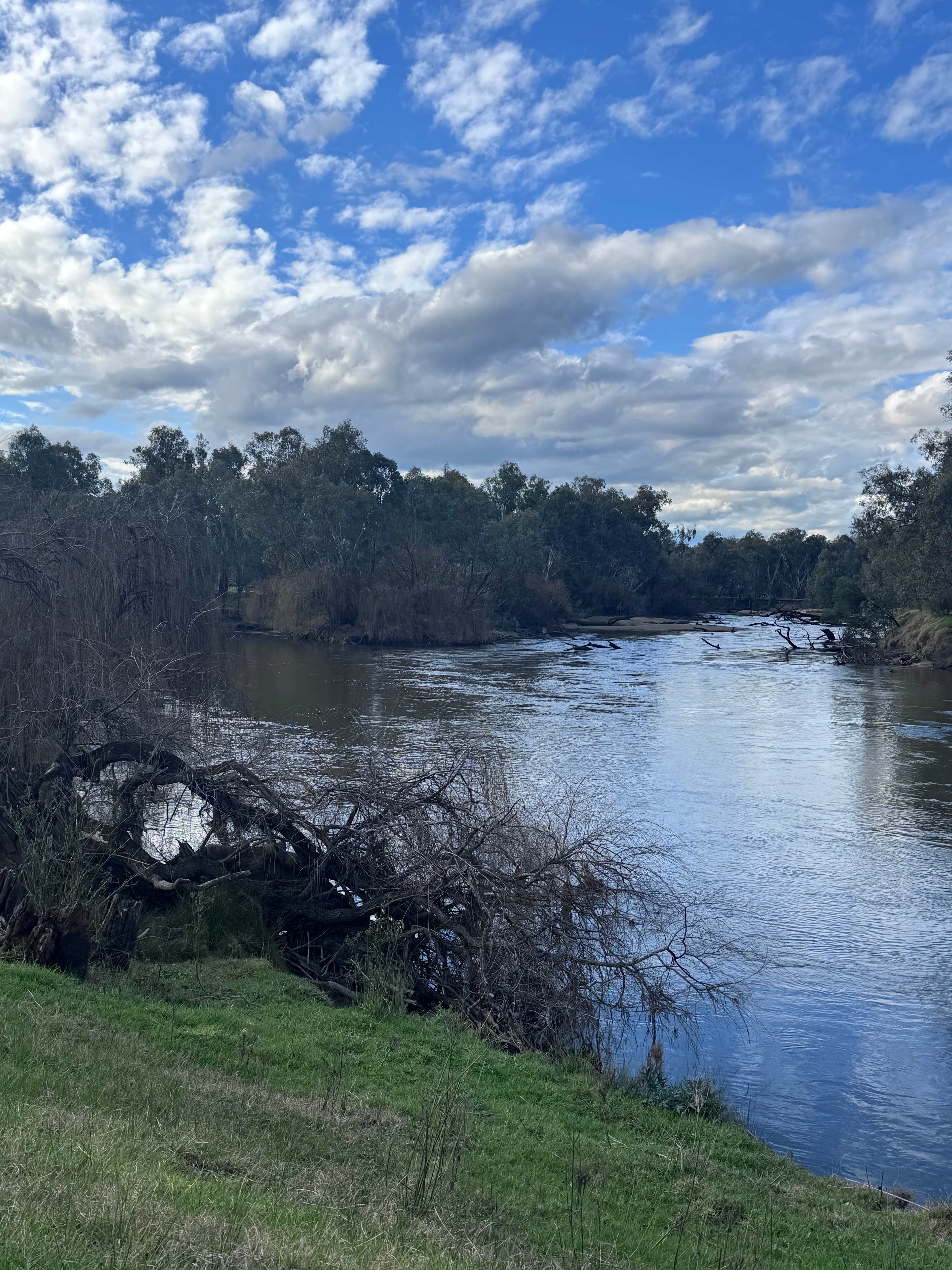 Willowbank on the Murray