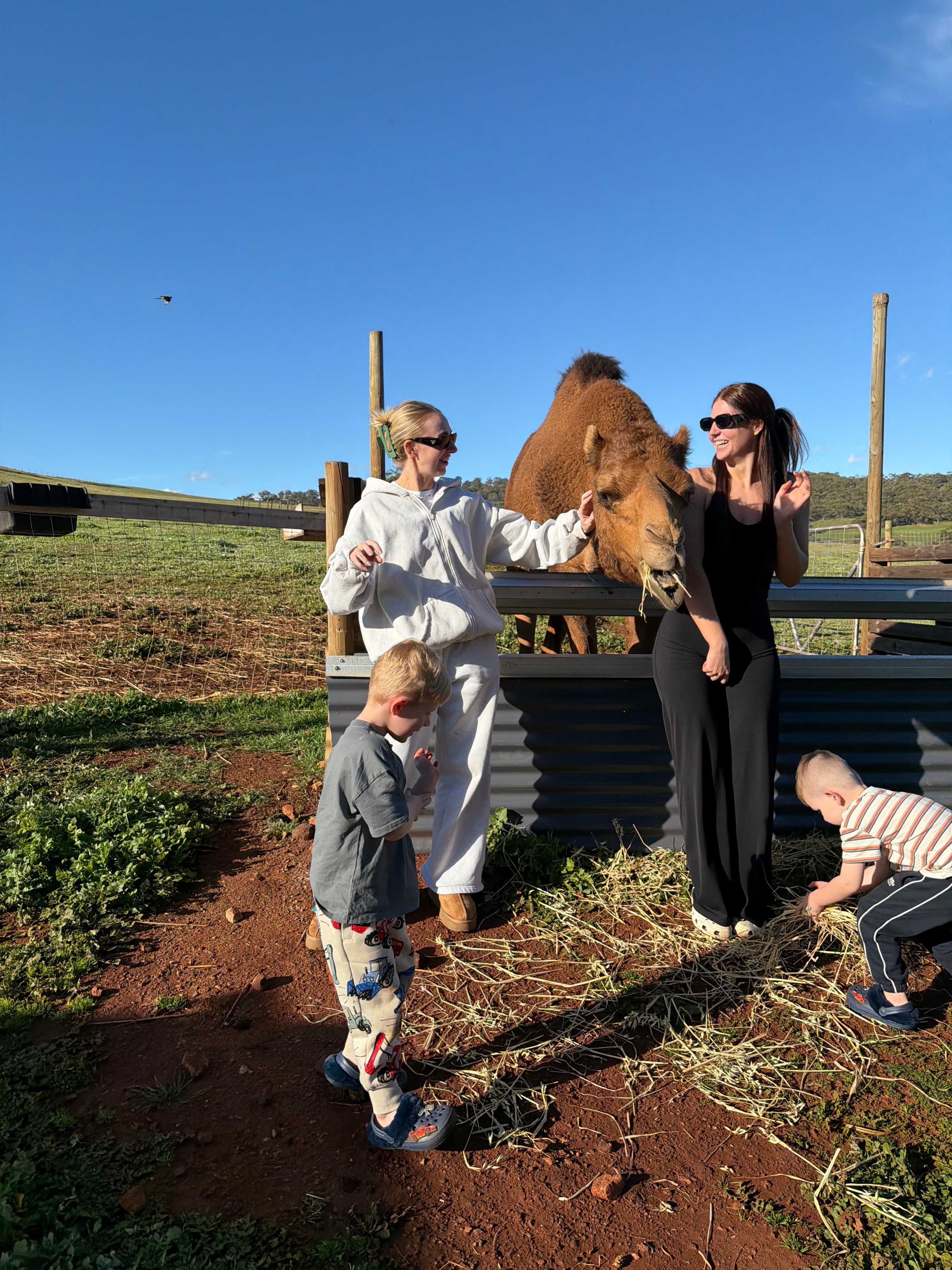 Sandalwood Downs  Farm Stay Toodyay