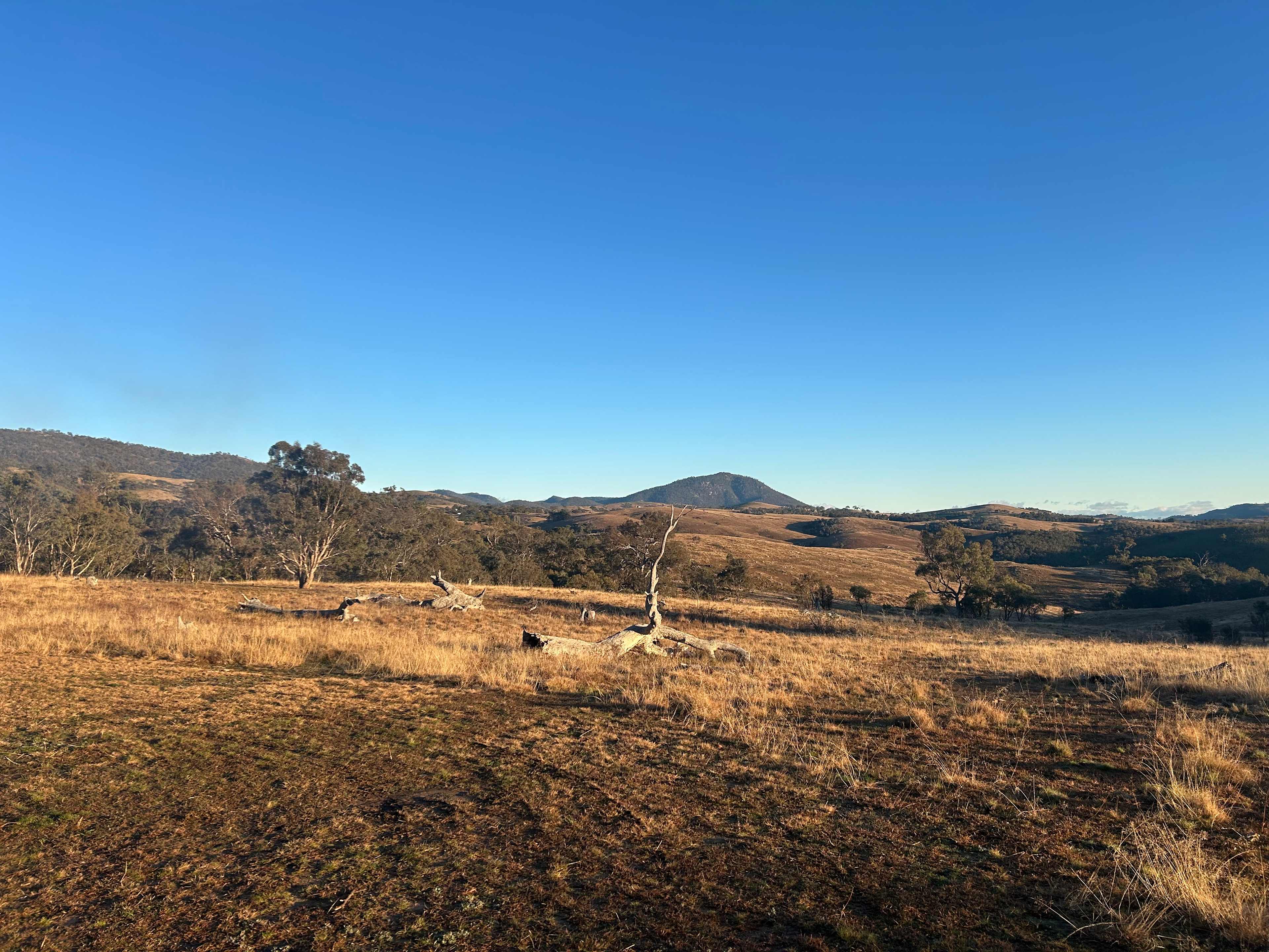 Themeda Farm Campground