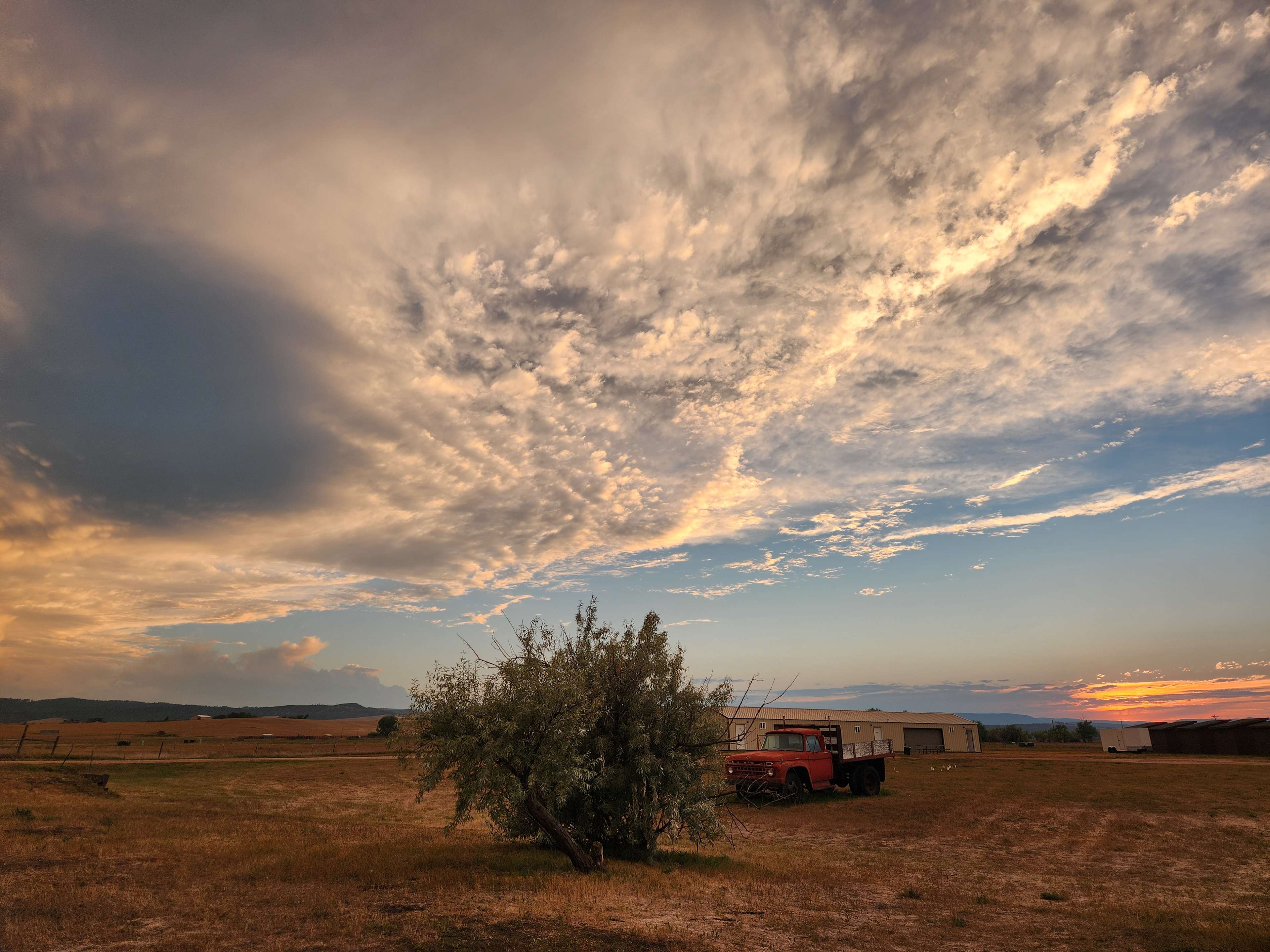 Black Hills Meadow